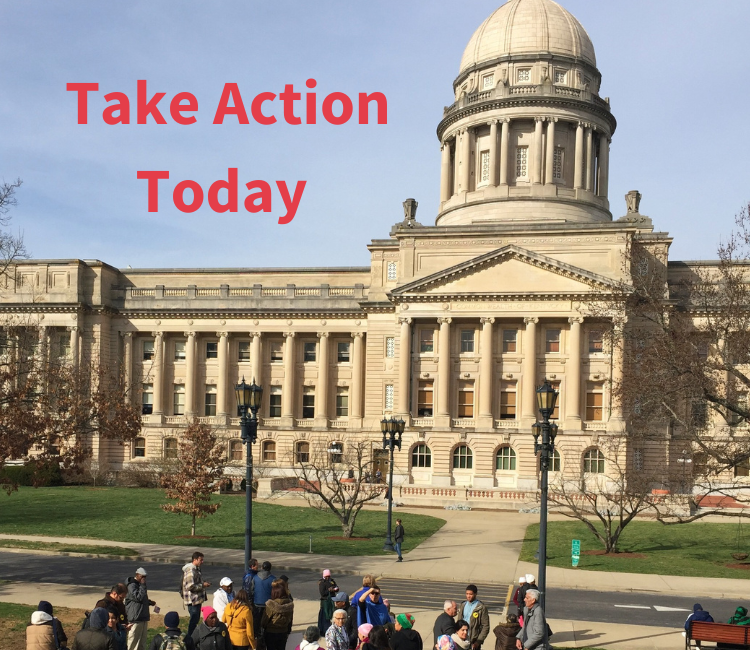 Capitol_Take Action_3 (750 x 650 px).png