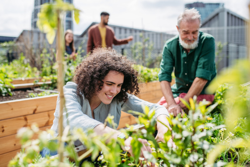 Neighbors tend to a community garden.