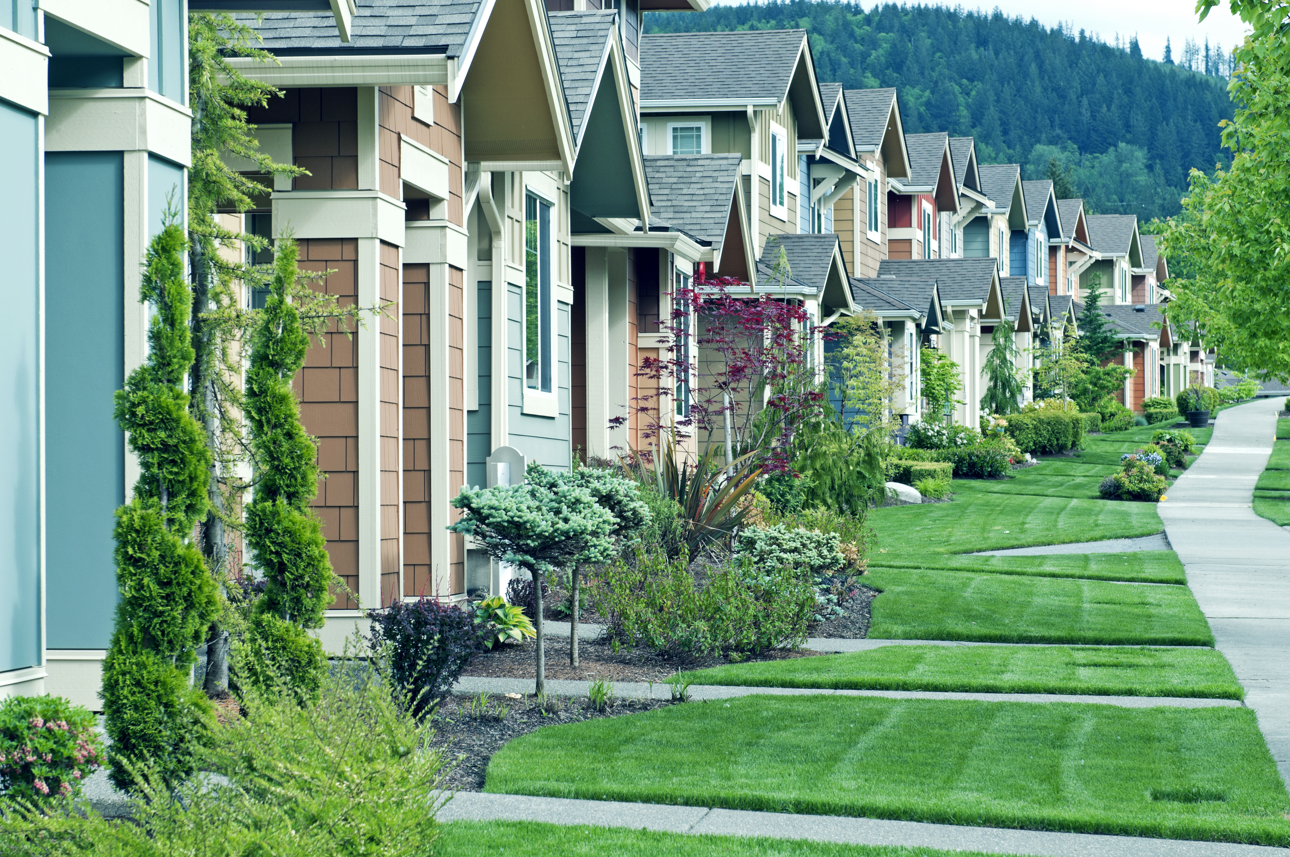 Row of new houses in landscaped suburb