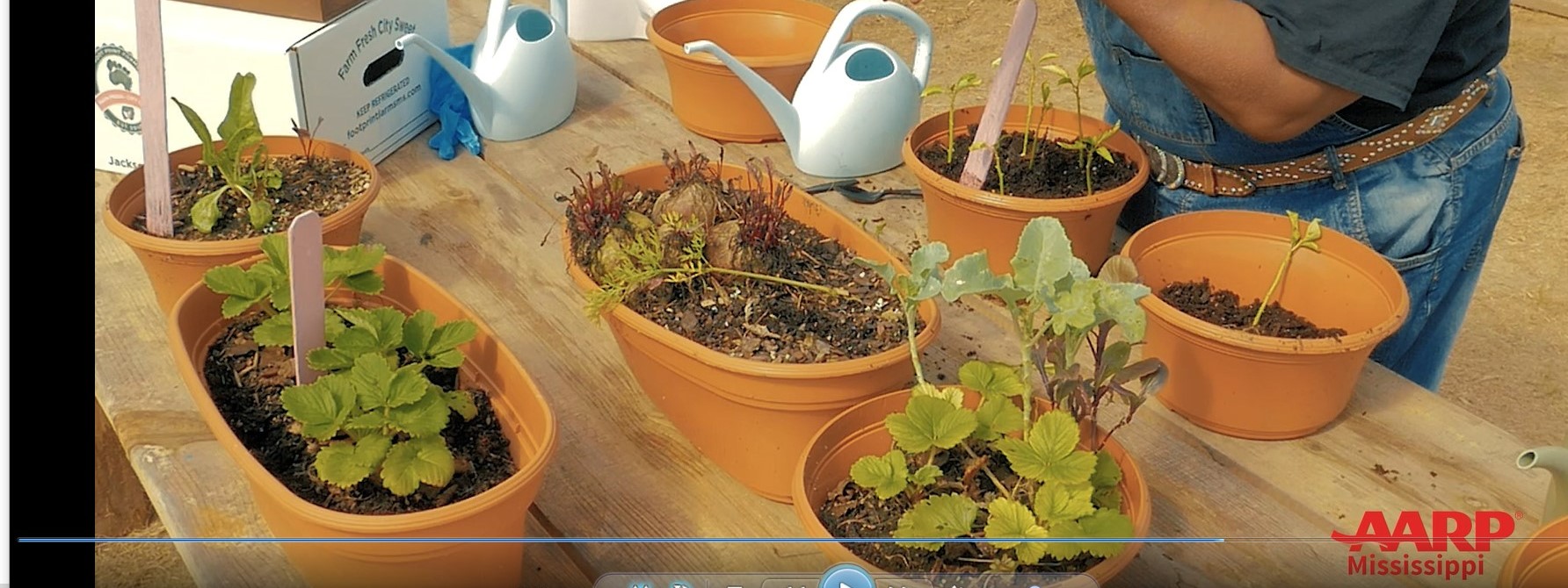 Virtual gardening series