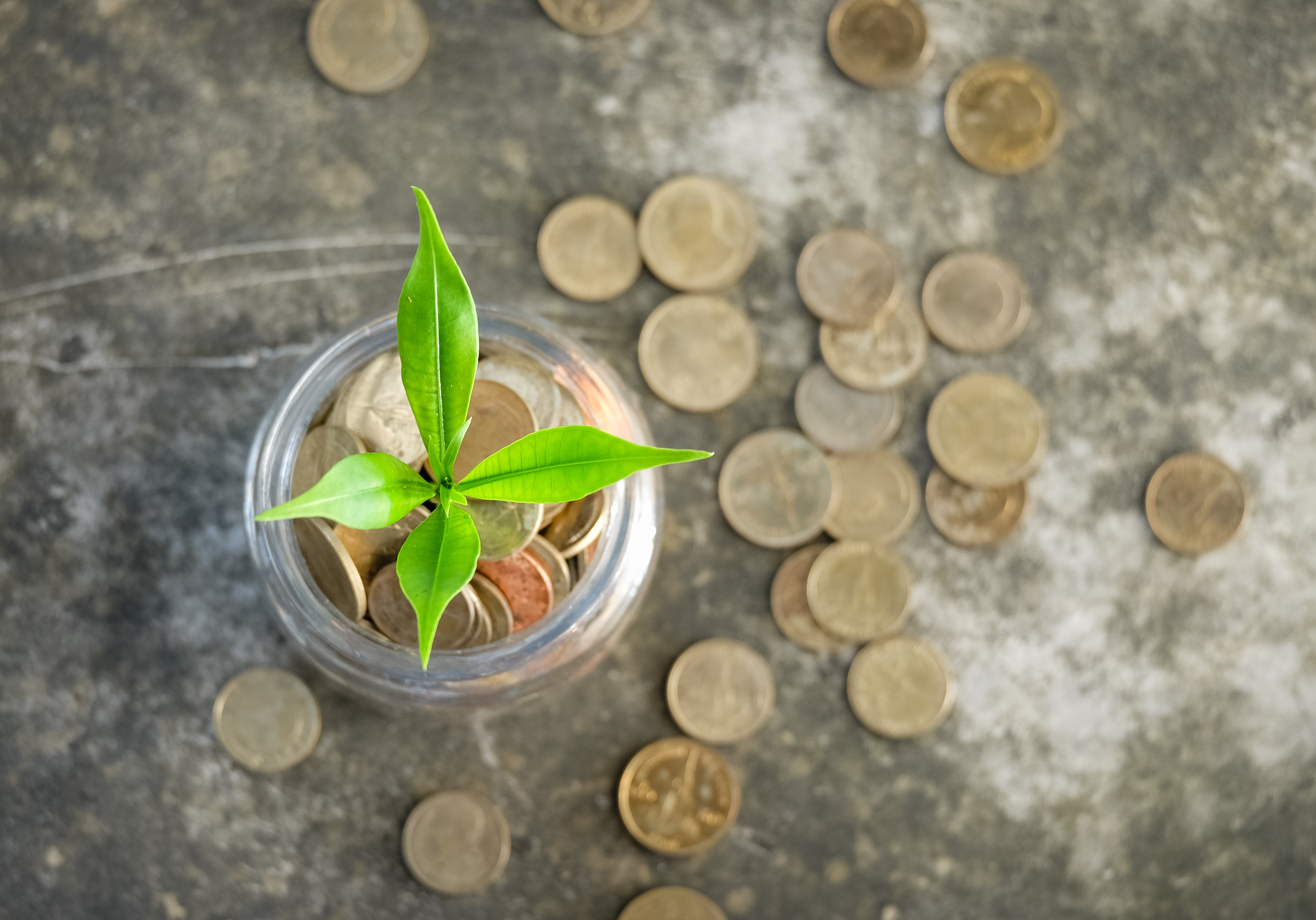 Glass Coin Cart, Plant growing on Coins glass jar and concept money saving coins.