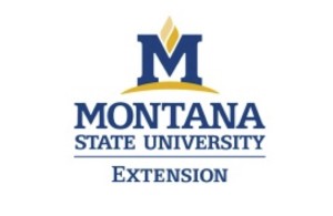 msu-extension-300x195