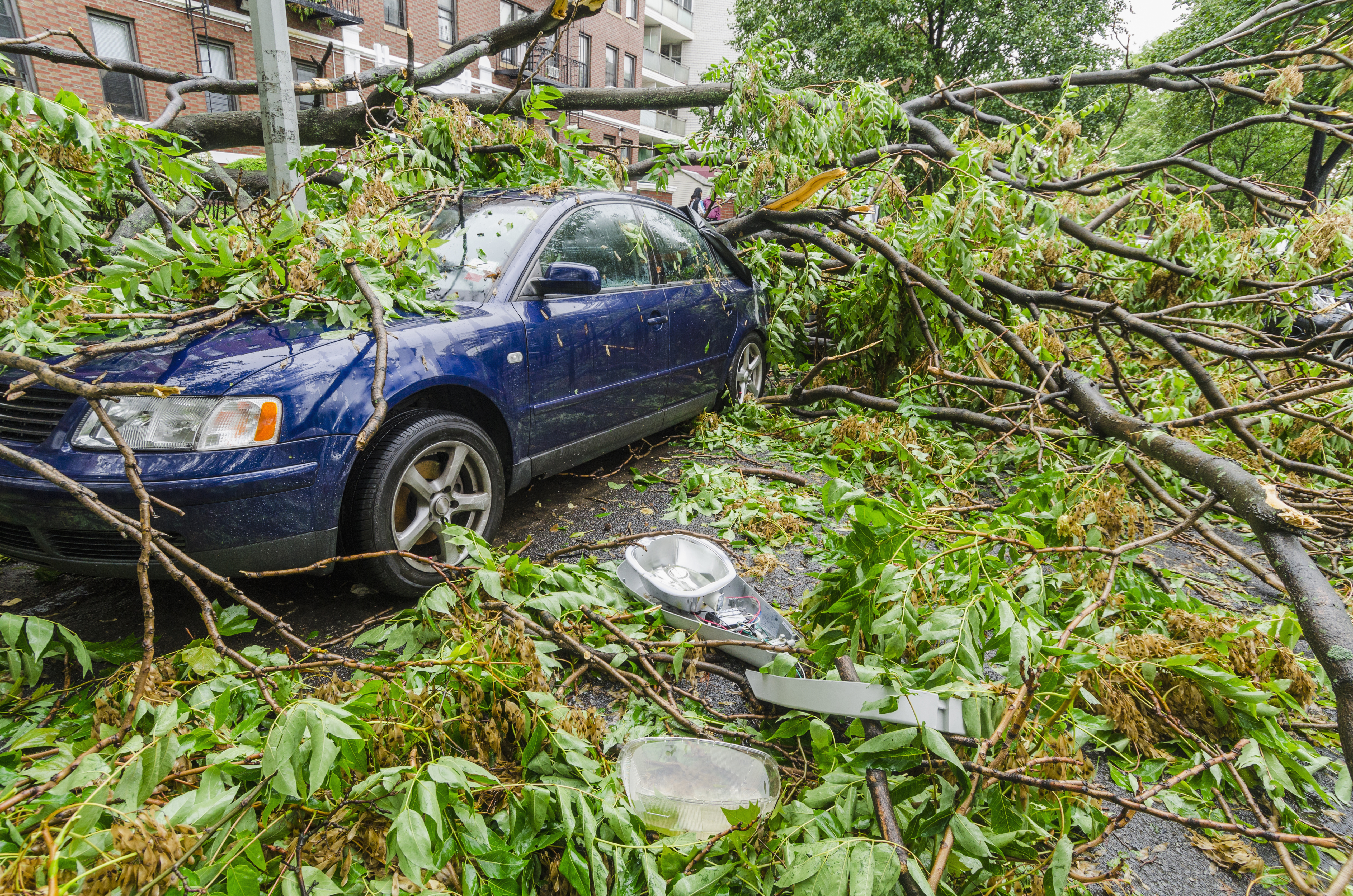 USA, New York, Brooklyn, Car smashed by fallen tree