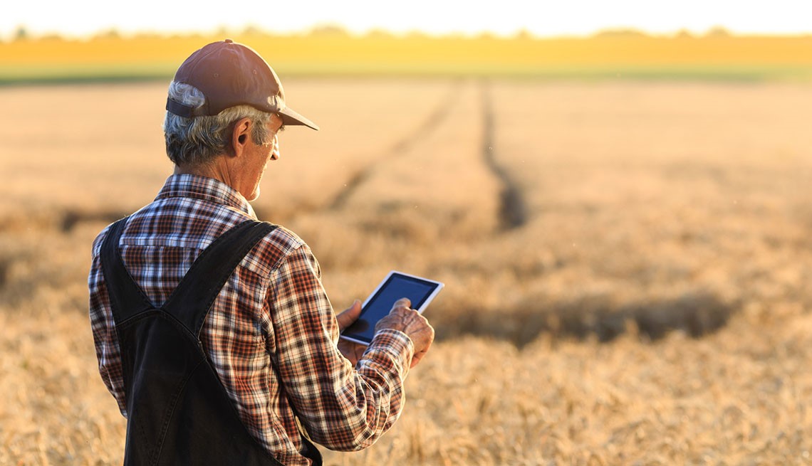 Farmer uses tablet next to field. 