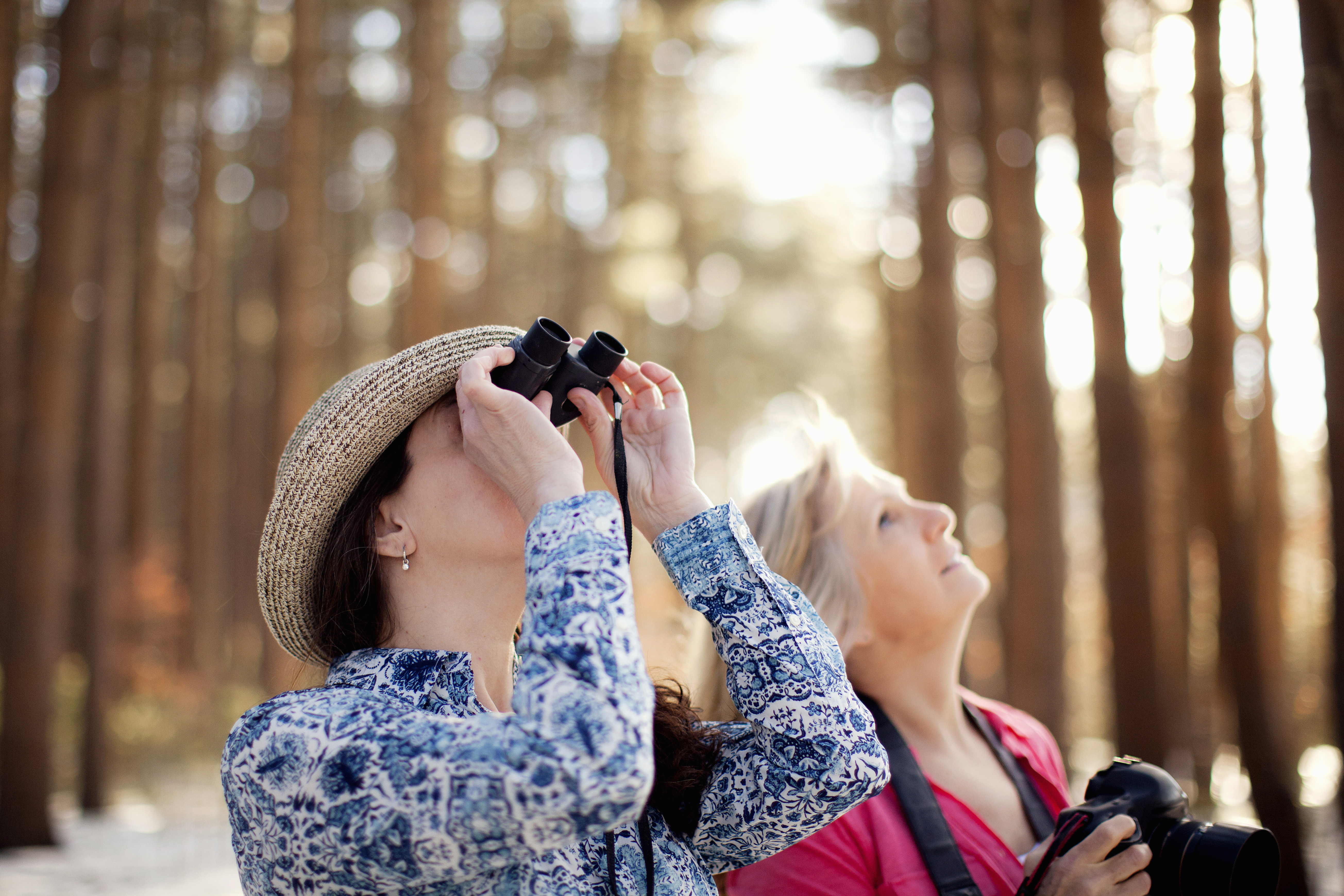 Two mature women bird watching in forest
