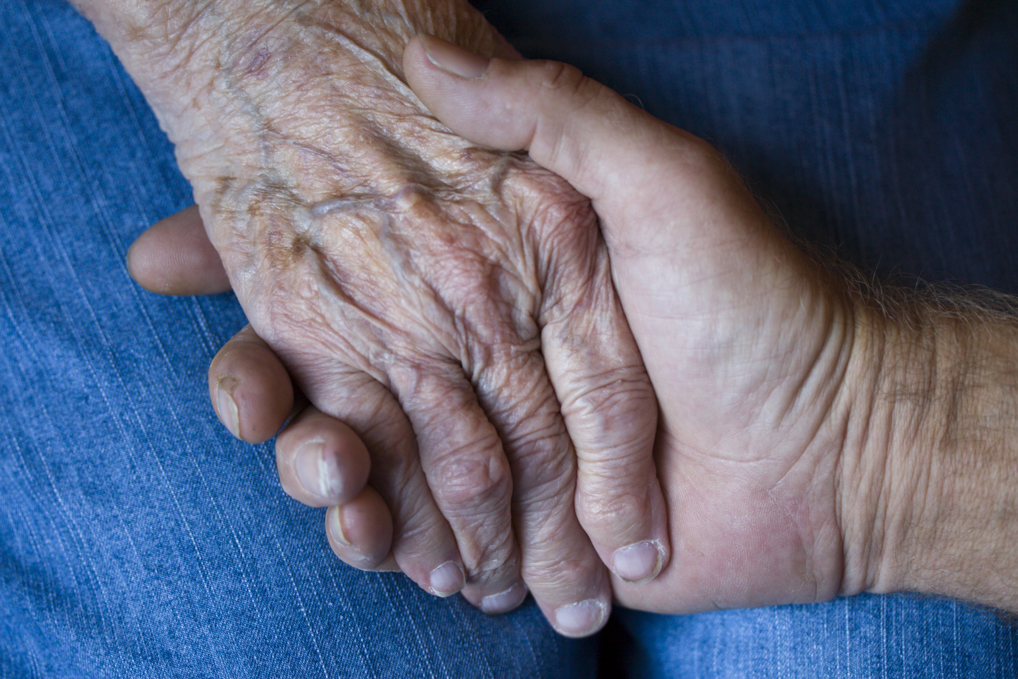 Elderly Mother's Hand Held By Son