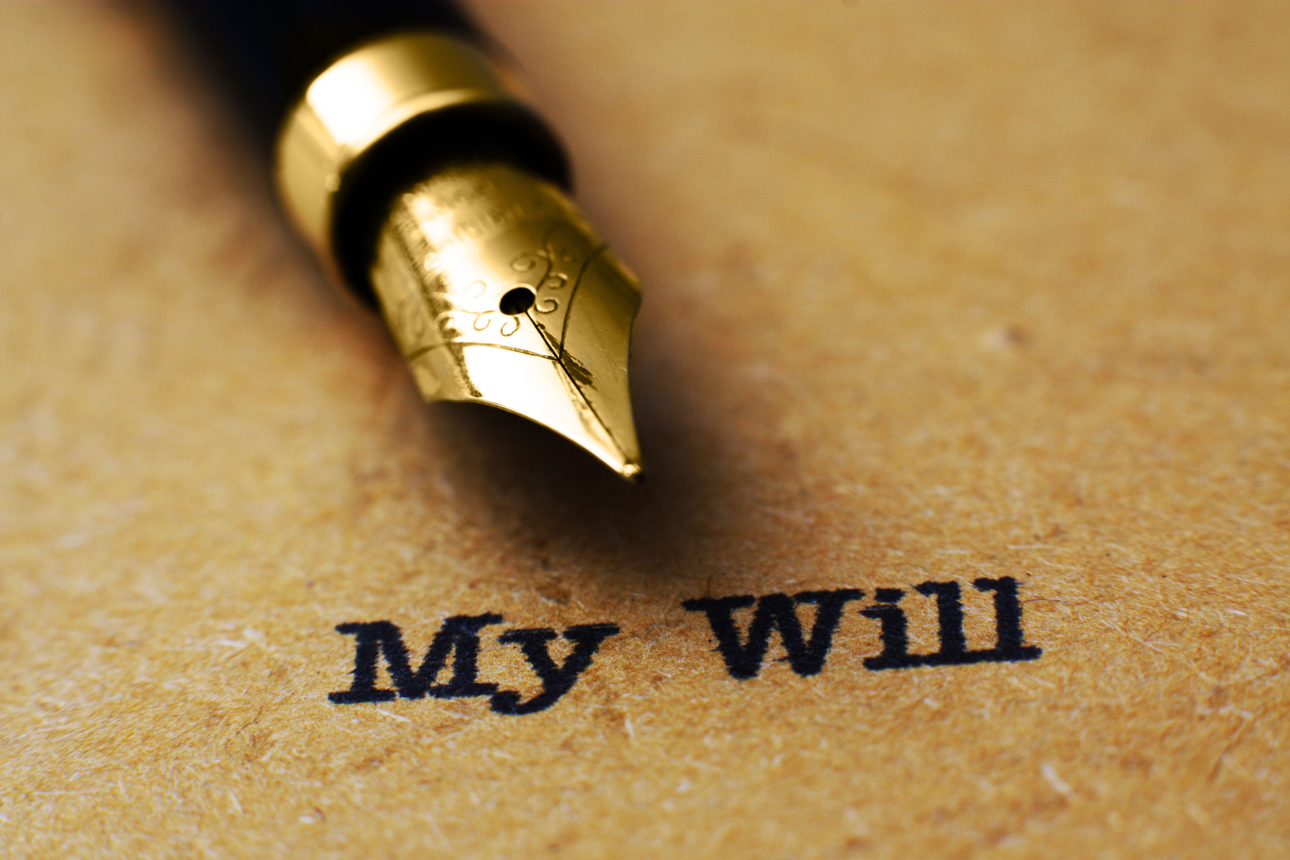 A close-up of a quill pen above black text stating, My Will