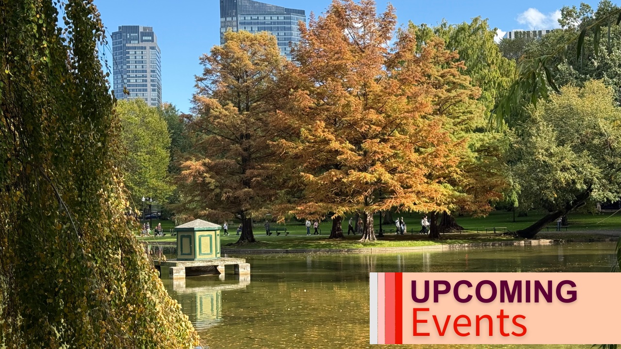 Boston Public Garden October.jpg
