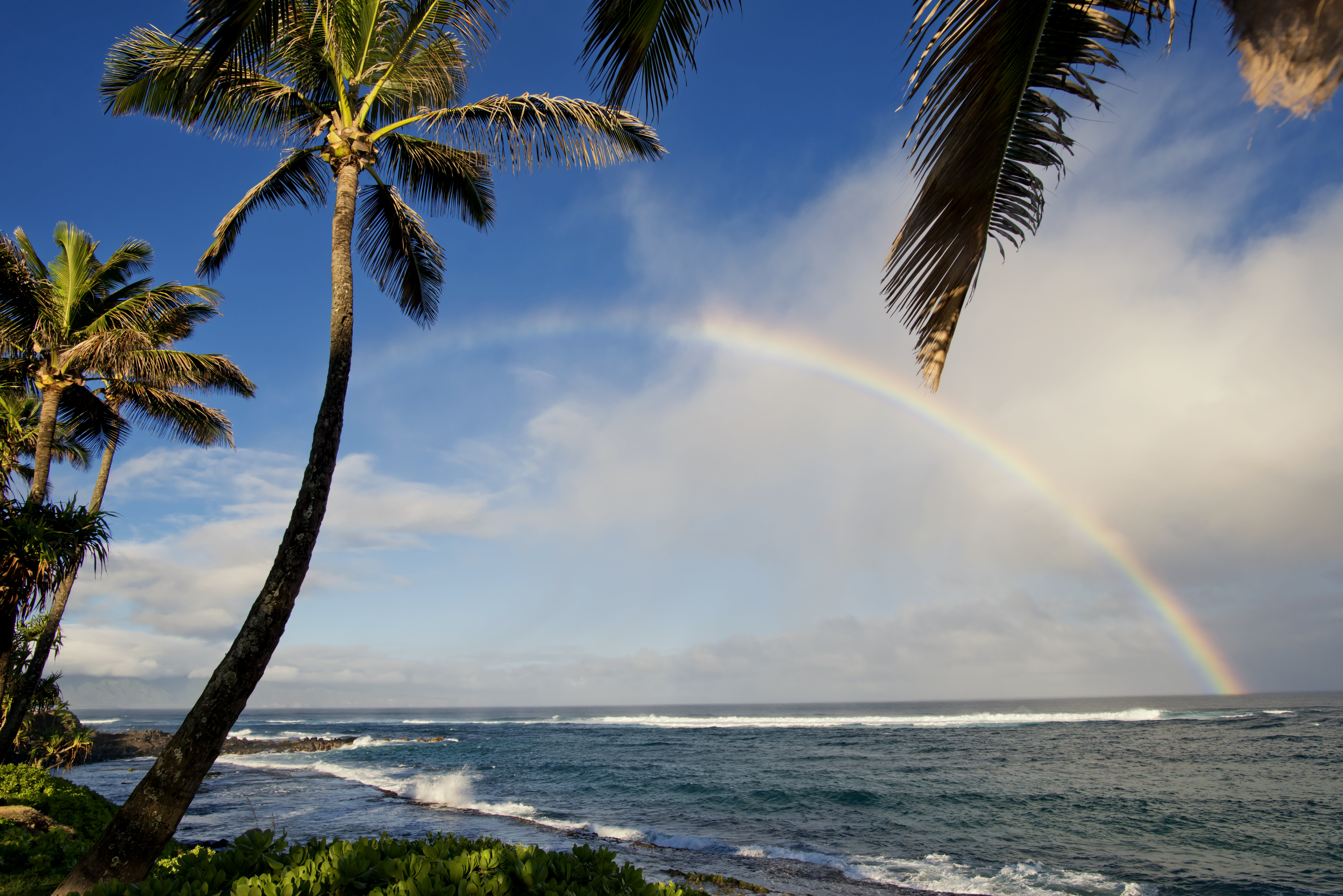 Rainbow over Maui