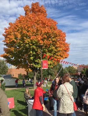 hamline-edu.jpg