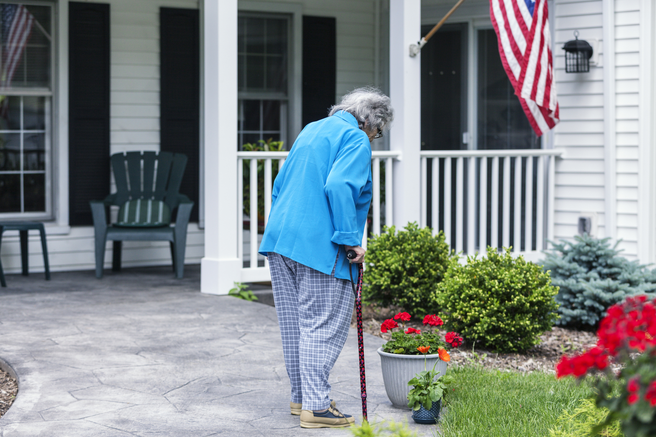 Elderly Patriotic Woman With Cane Looking Down At Geranium Flowers