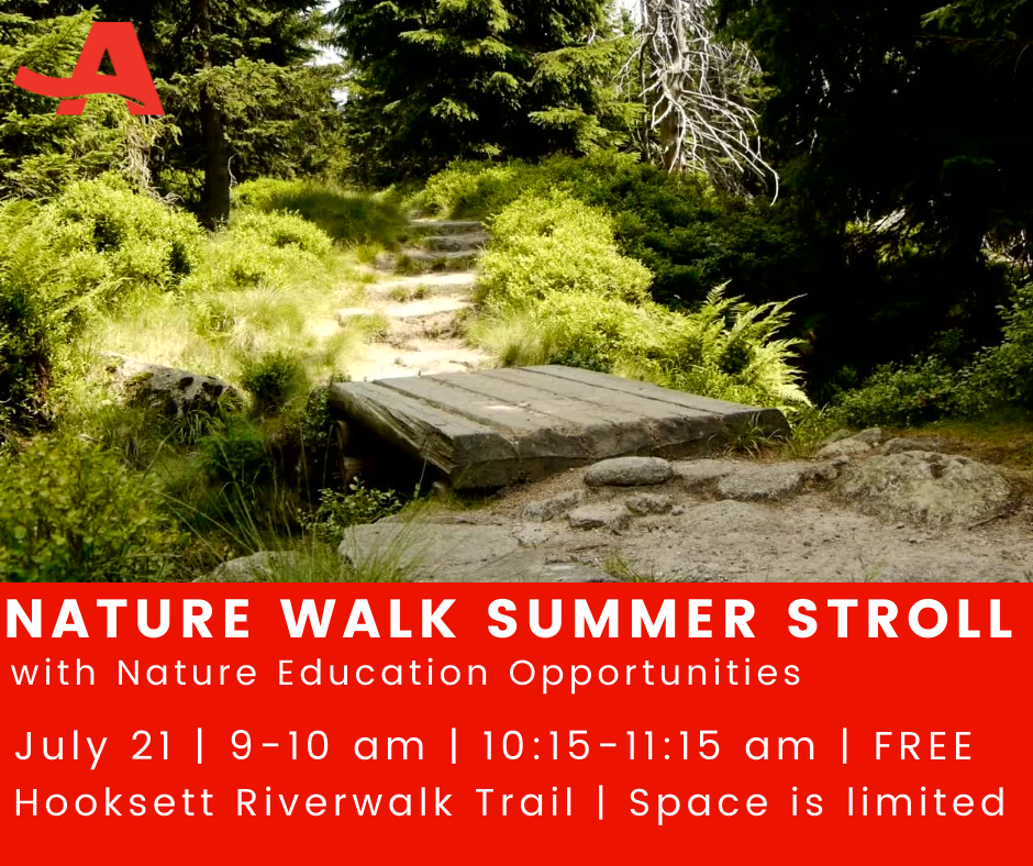 Summer Nature Walk July 2022.png