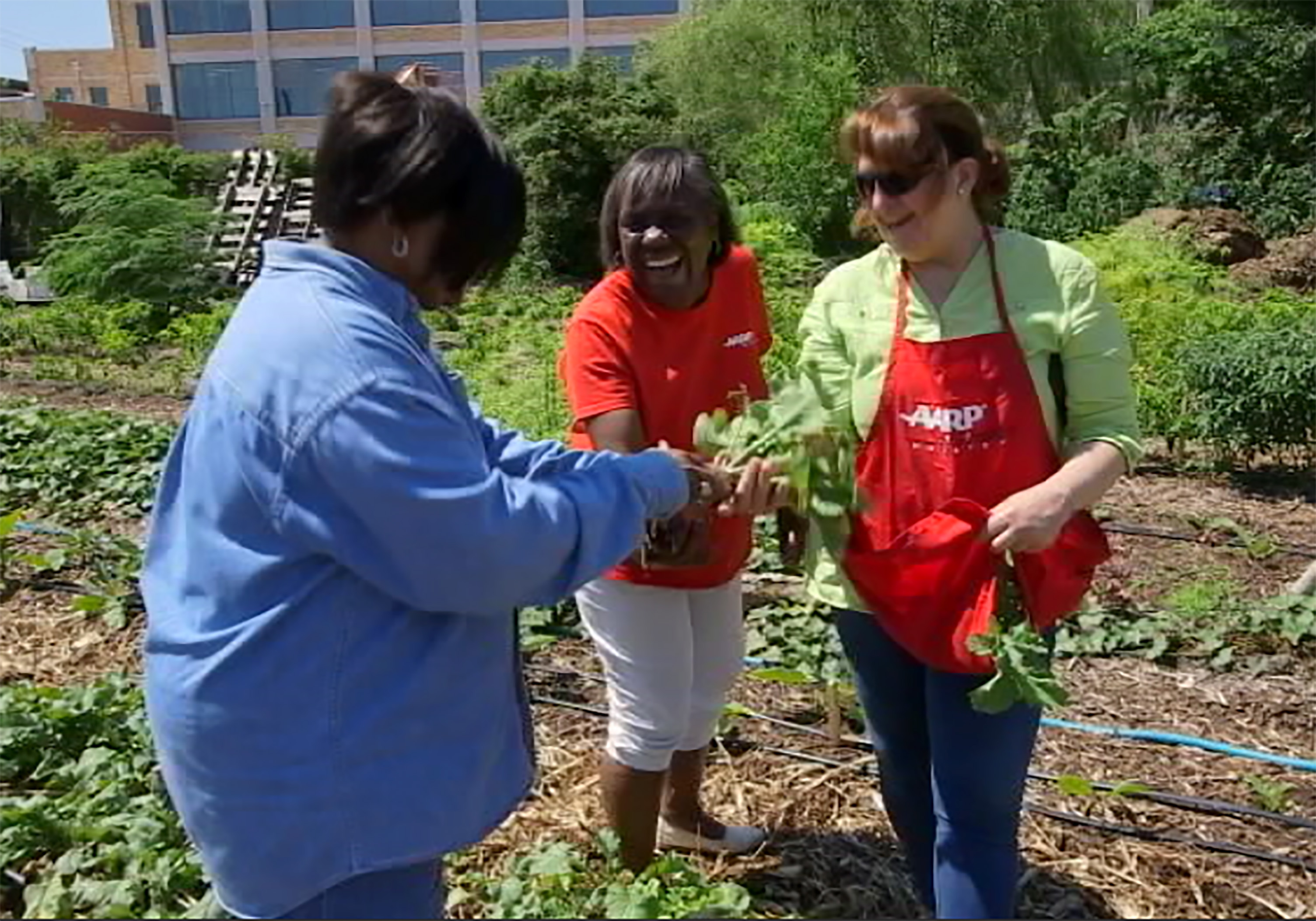 Gardening - cooking 2 5-22-17