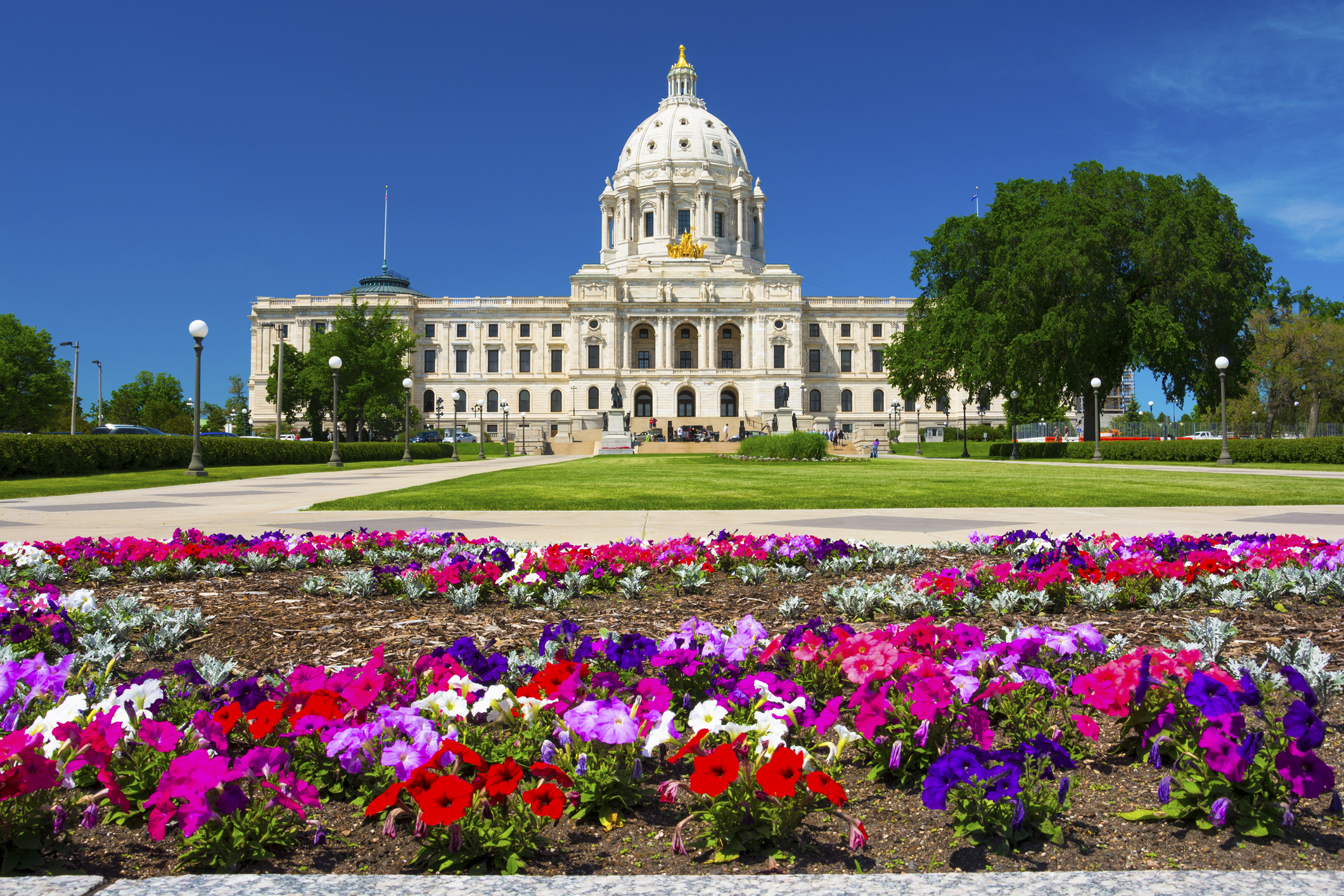 Minnesota State Capitol and flowers
