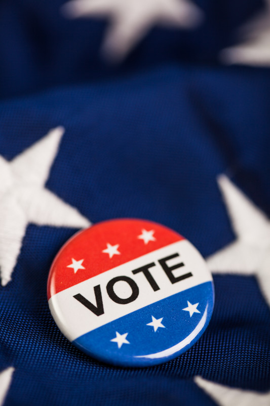 patriotic Vote pin