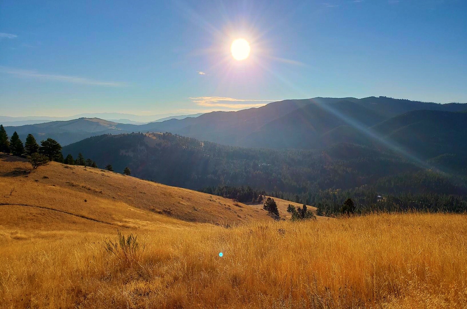 Mt. Helena Ridge Trail 2.jpg