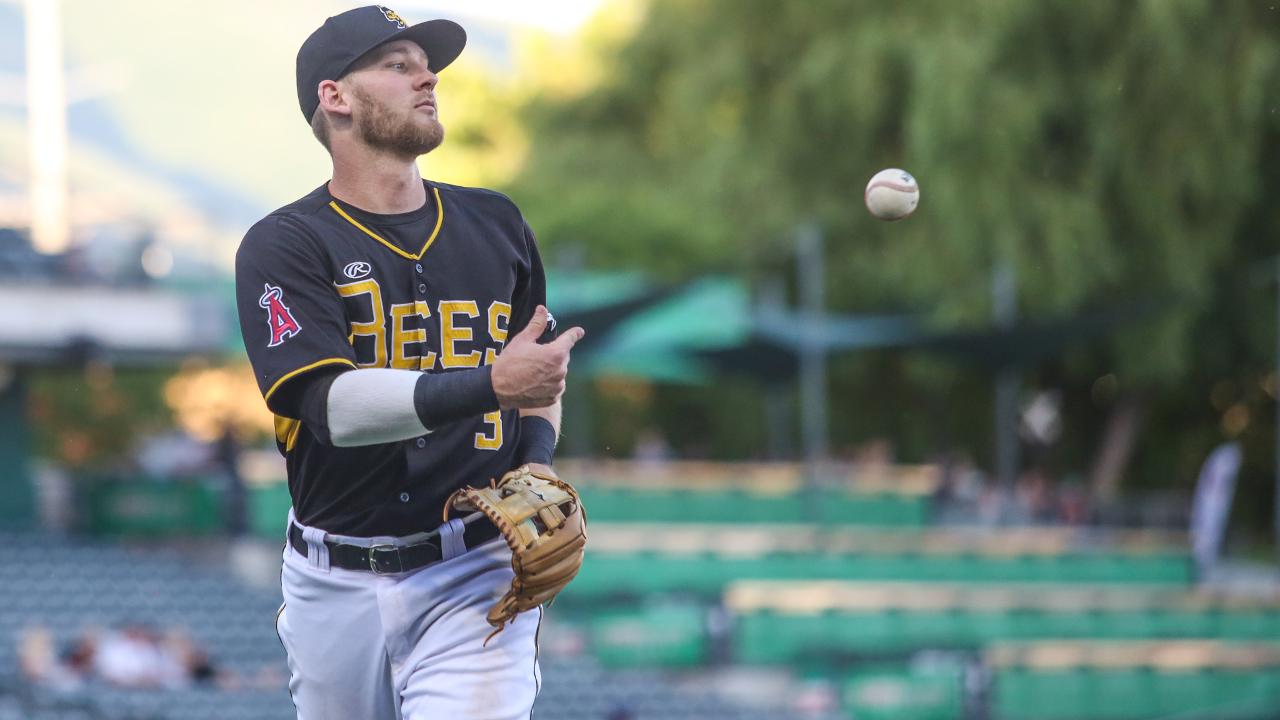 Salt Lake Bees