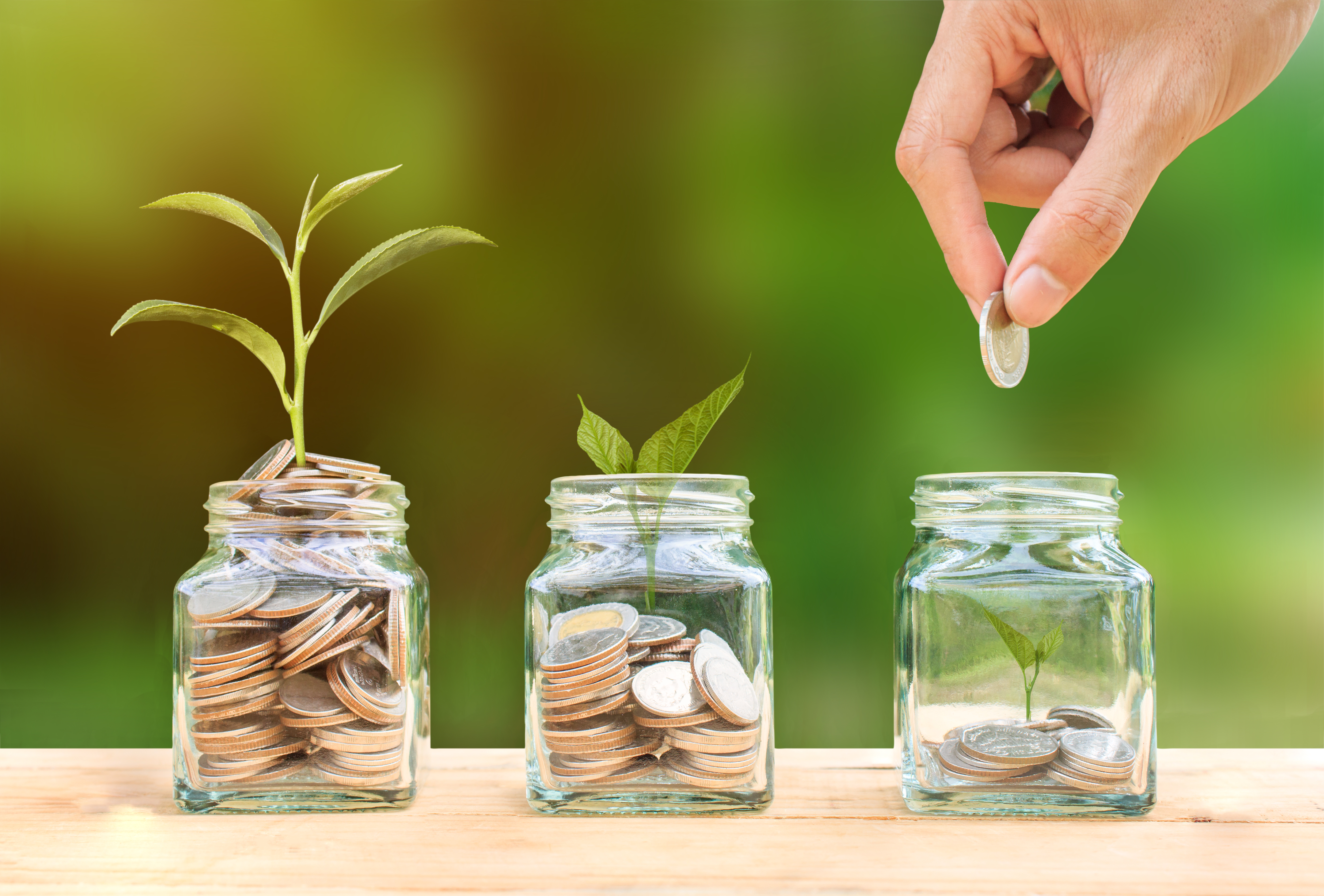 Cropped Image Of Hand Putting Coins In Jars With Plants