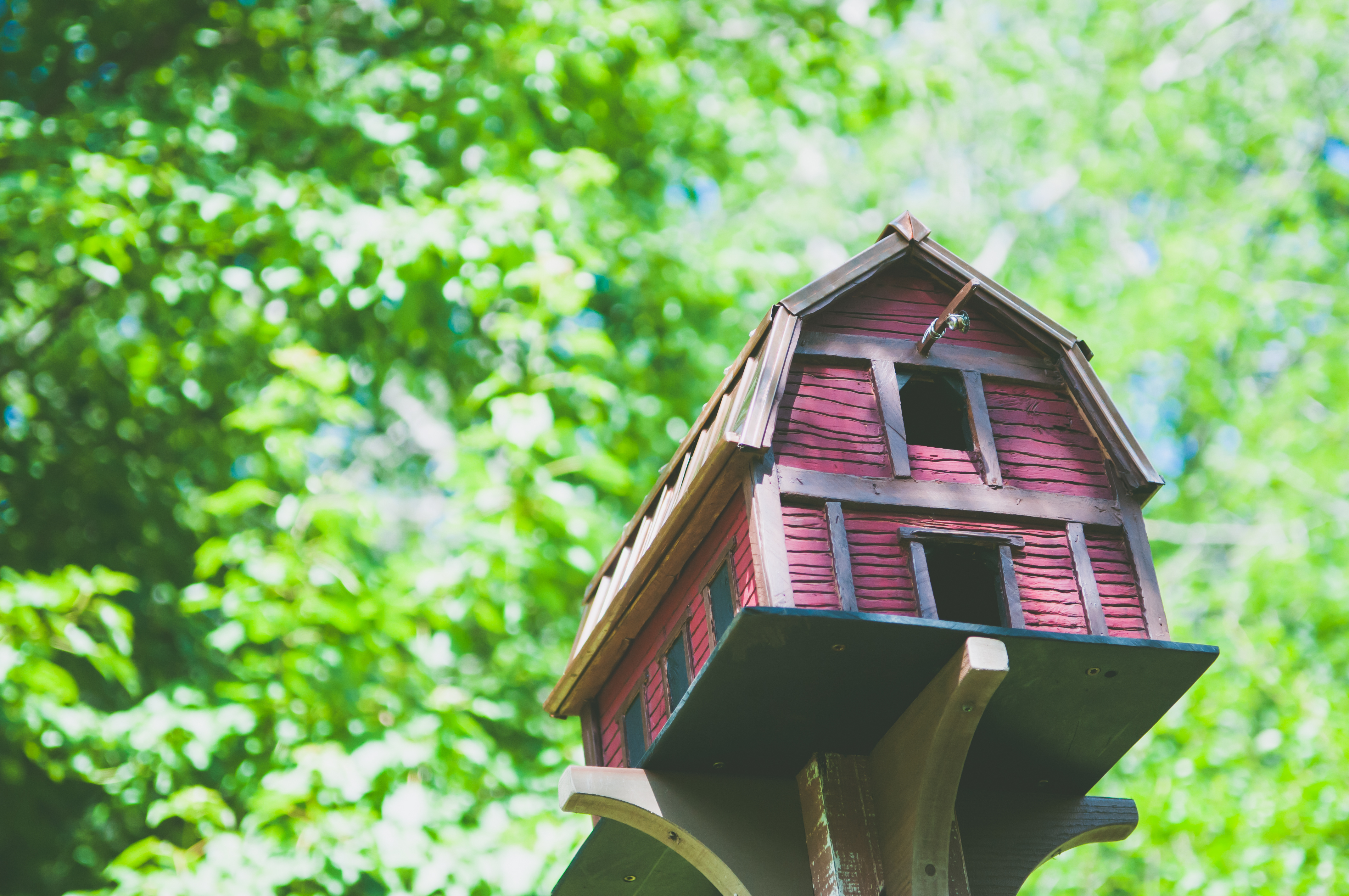 Bird House