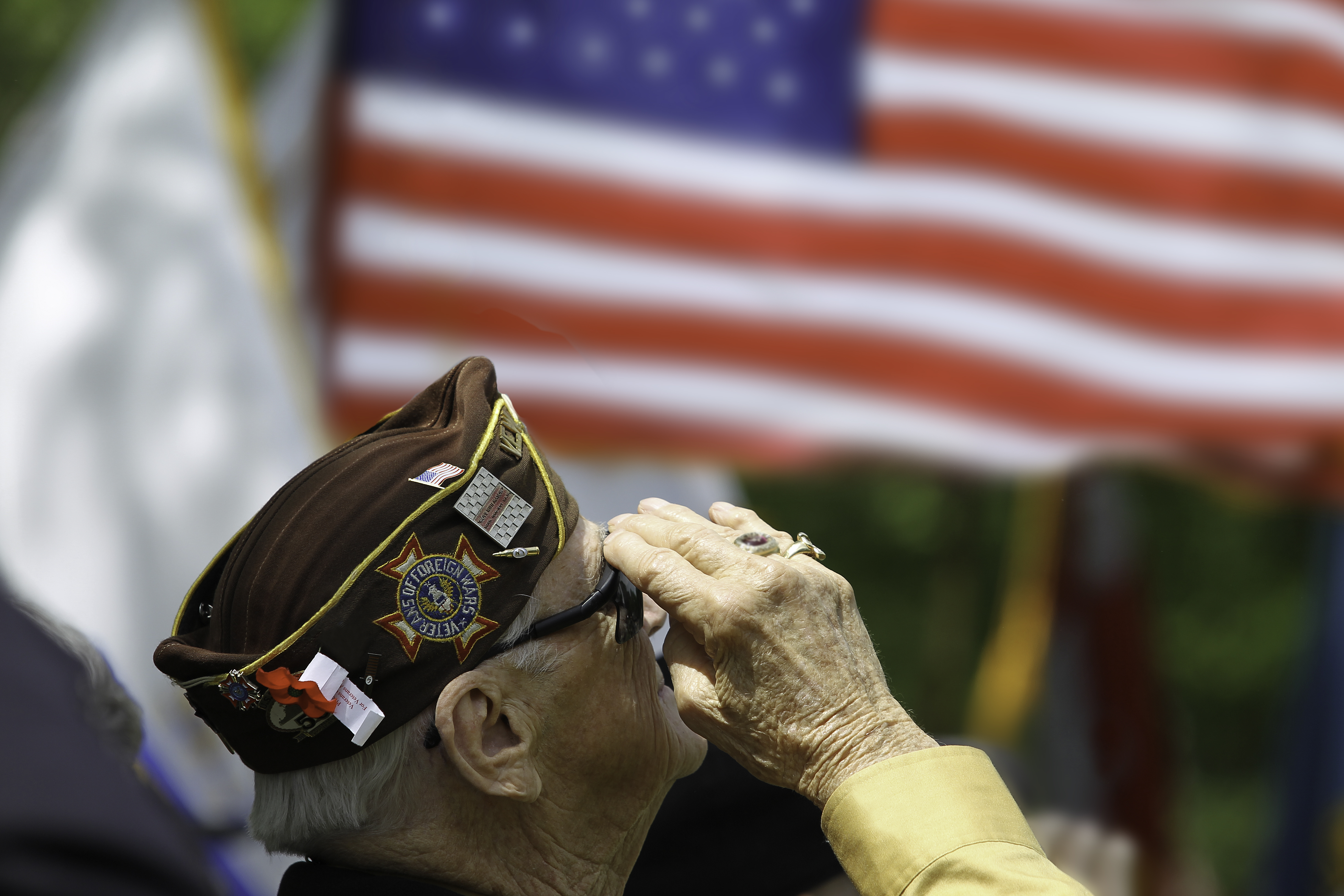 Veterans Saluting