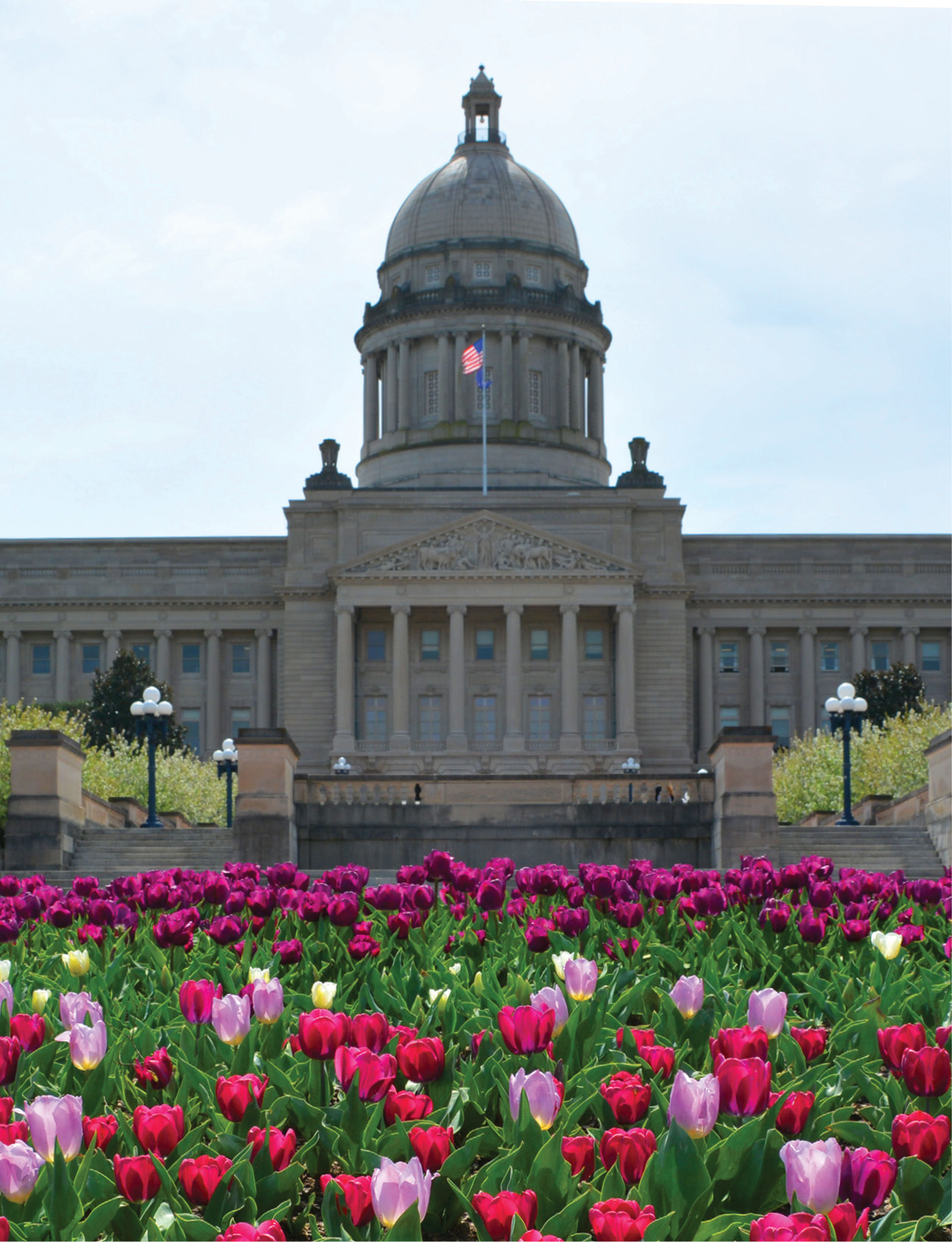 Capitol_spring_DSC_7941.jpg