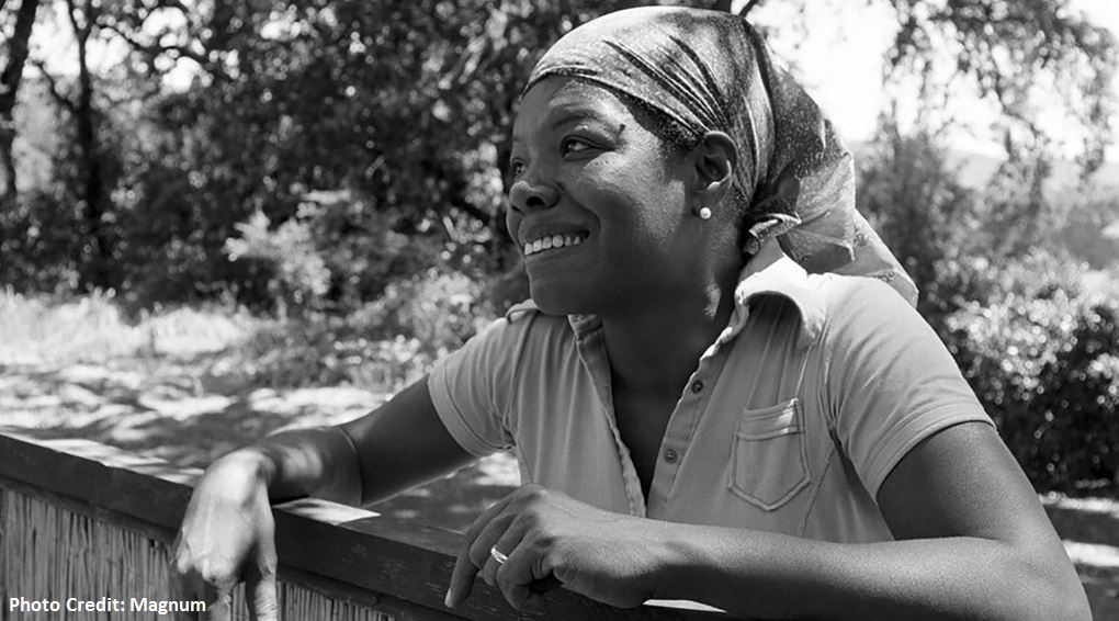 maya angelou