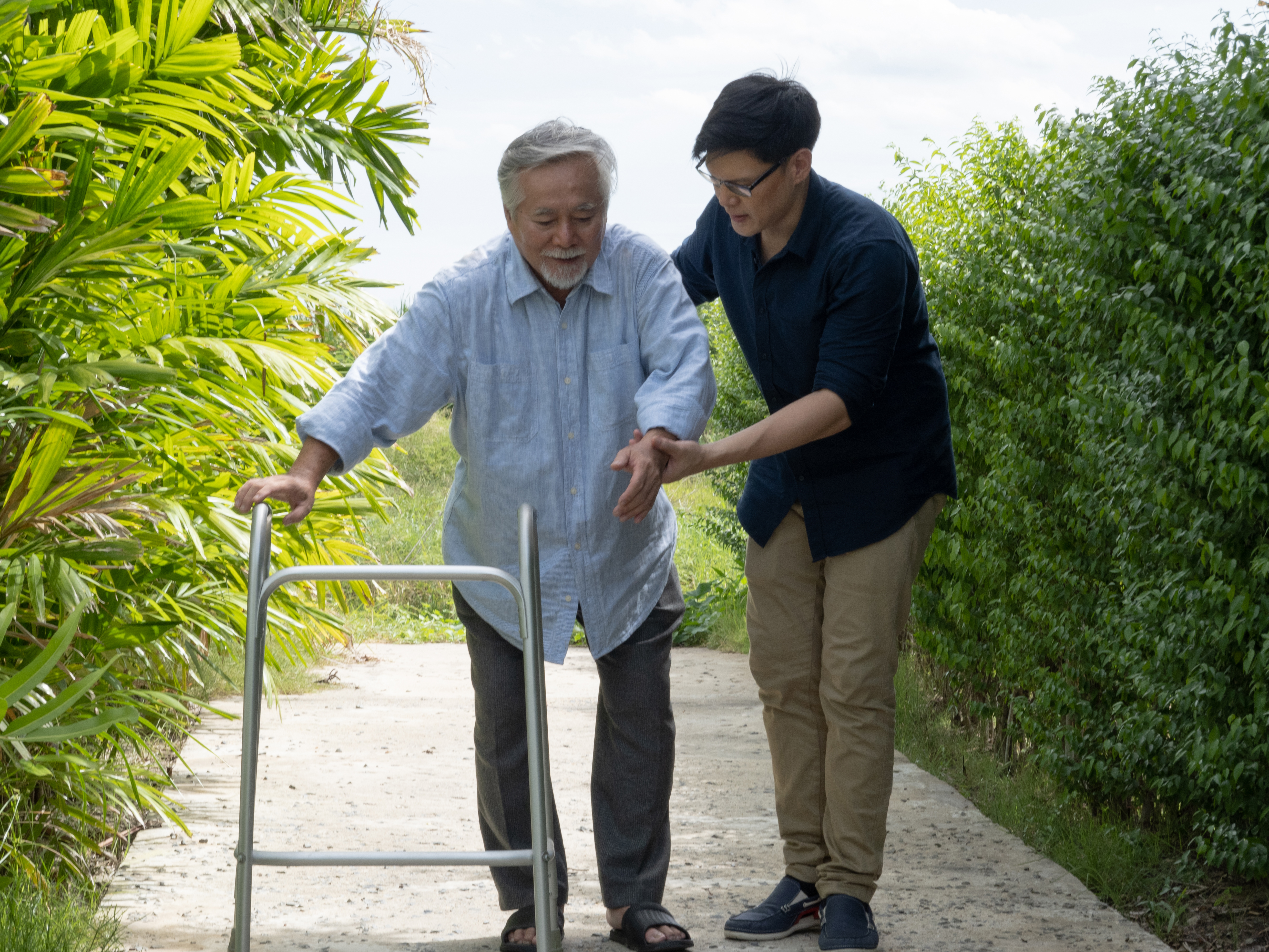 Asian senior man walking with walker and his son assist him walking in backyard until he could walk on his own without a walker.