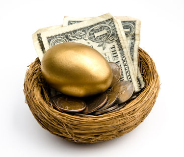 Nest Egg with money
