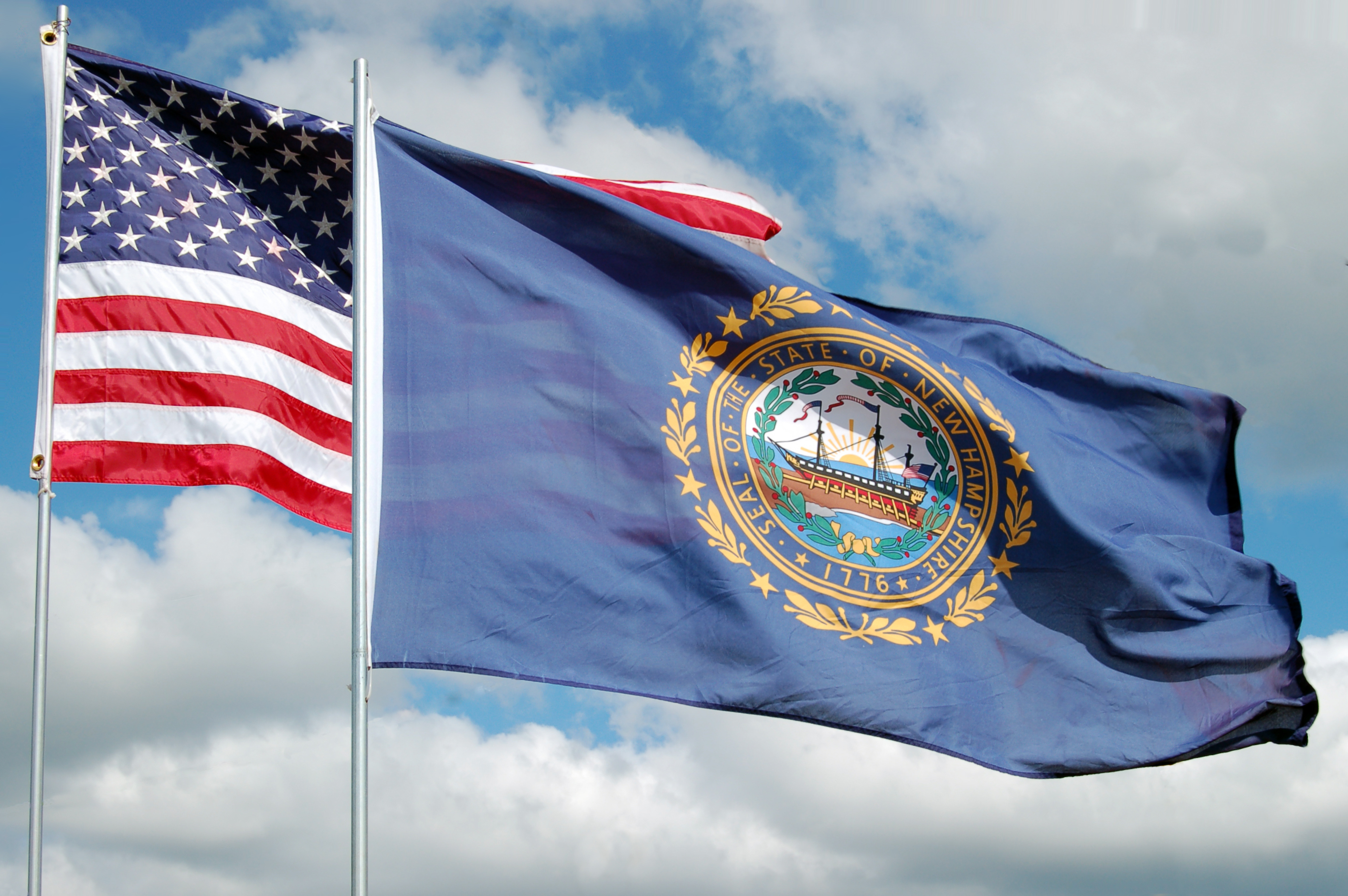 New Hampshire Flag