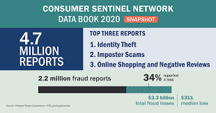 Consumer Sentinel 2020 Report.png