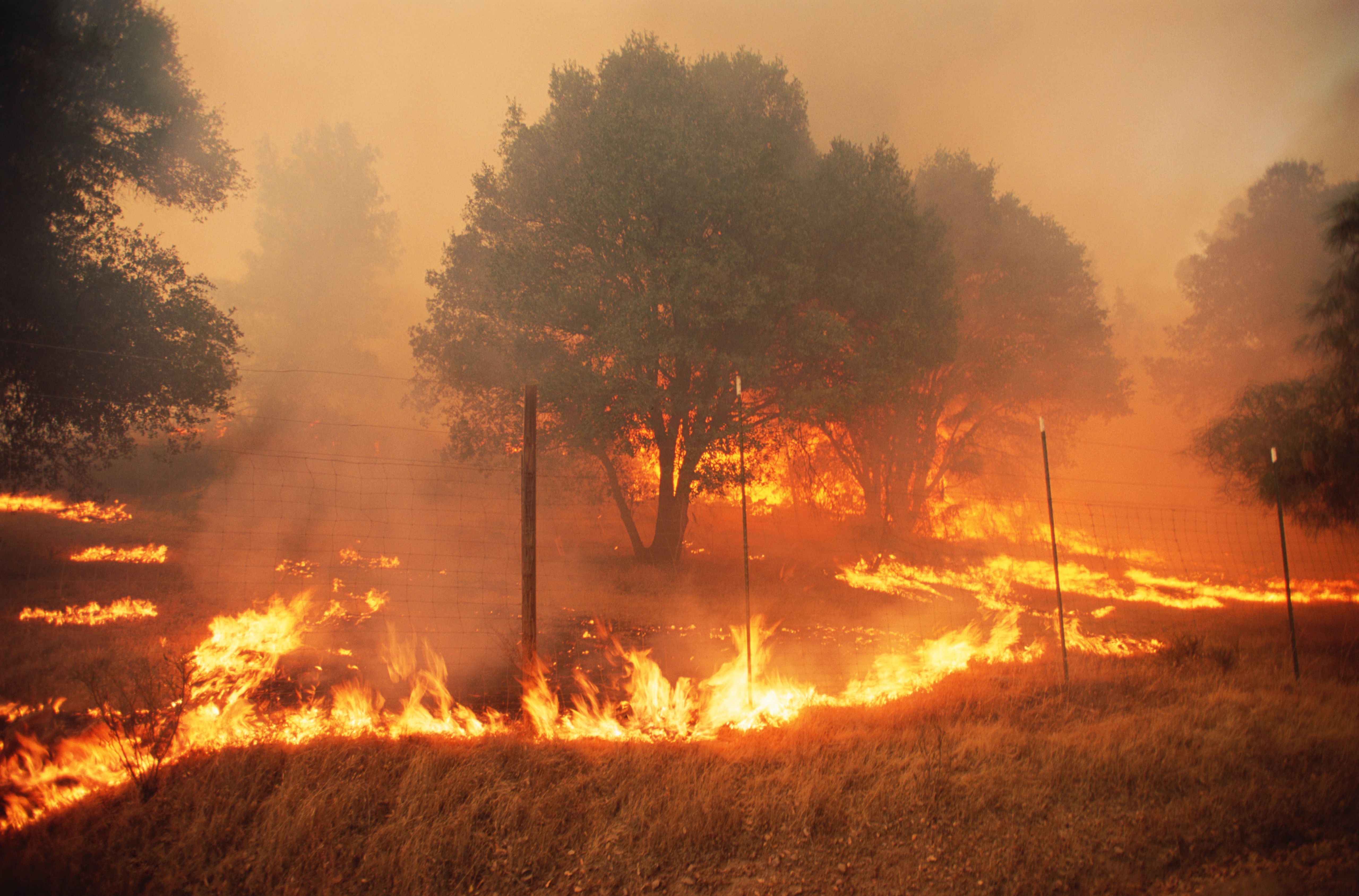 (7_Climate) NEW_GettyImages-200159463-001.jpg