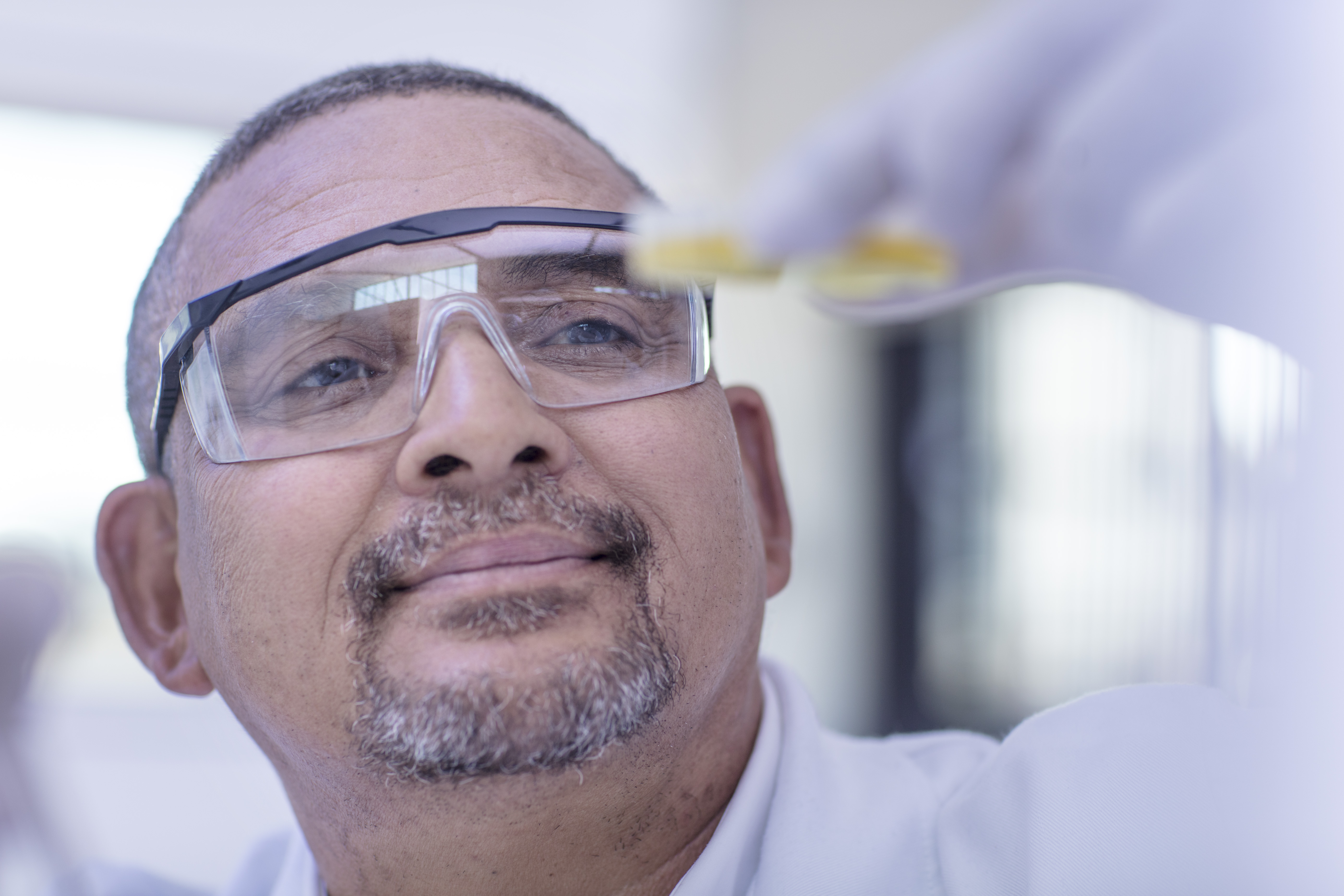 Laboratory worker examining contents of petri dish