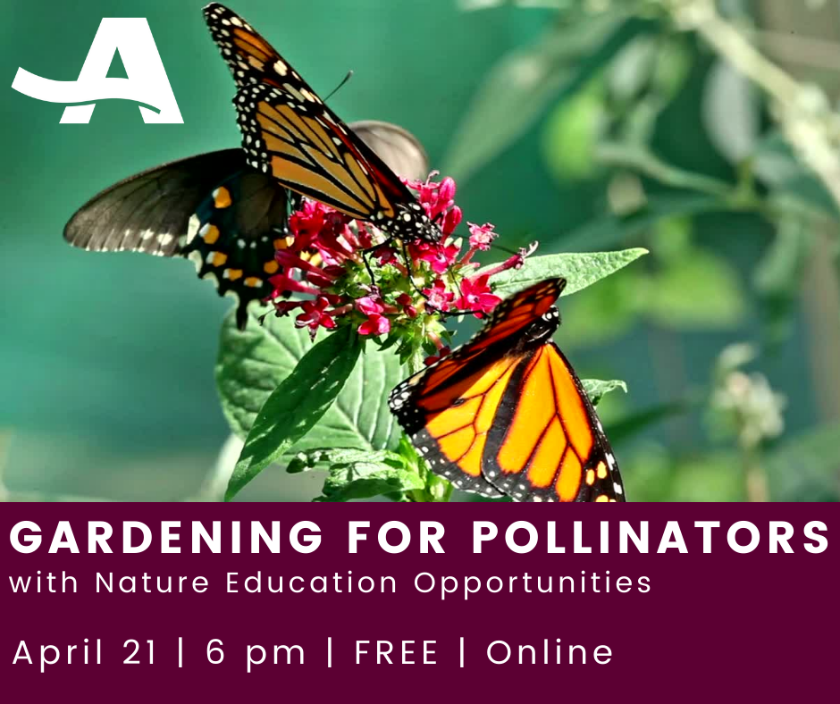 Gardening for Pollinators April 2022 (1).png