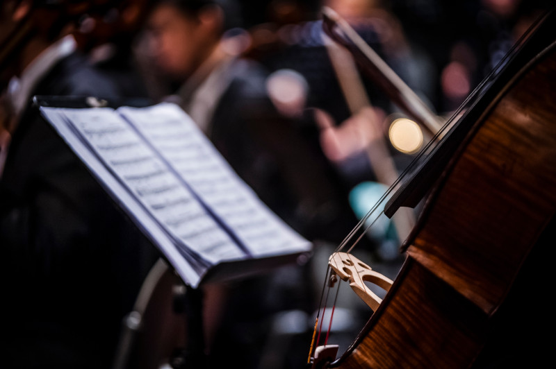 Close-Up Of Cello