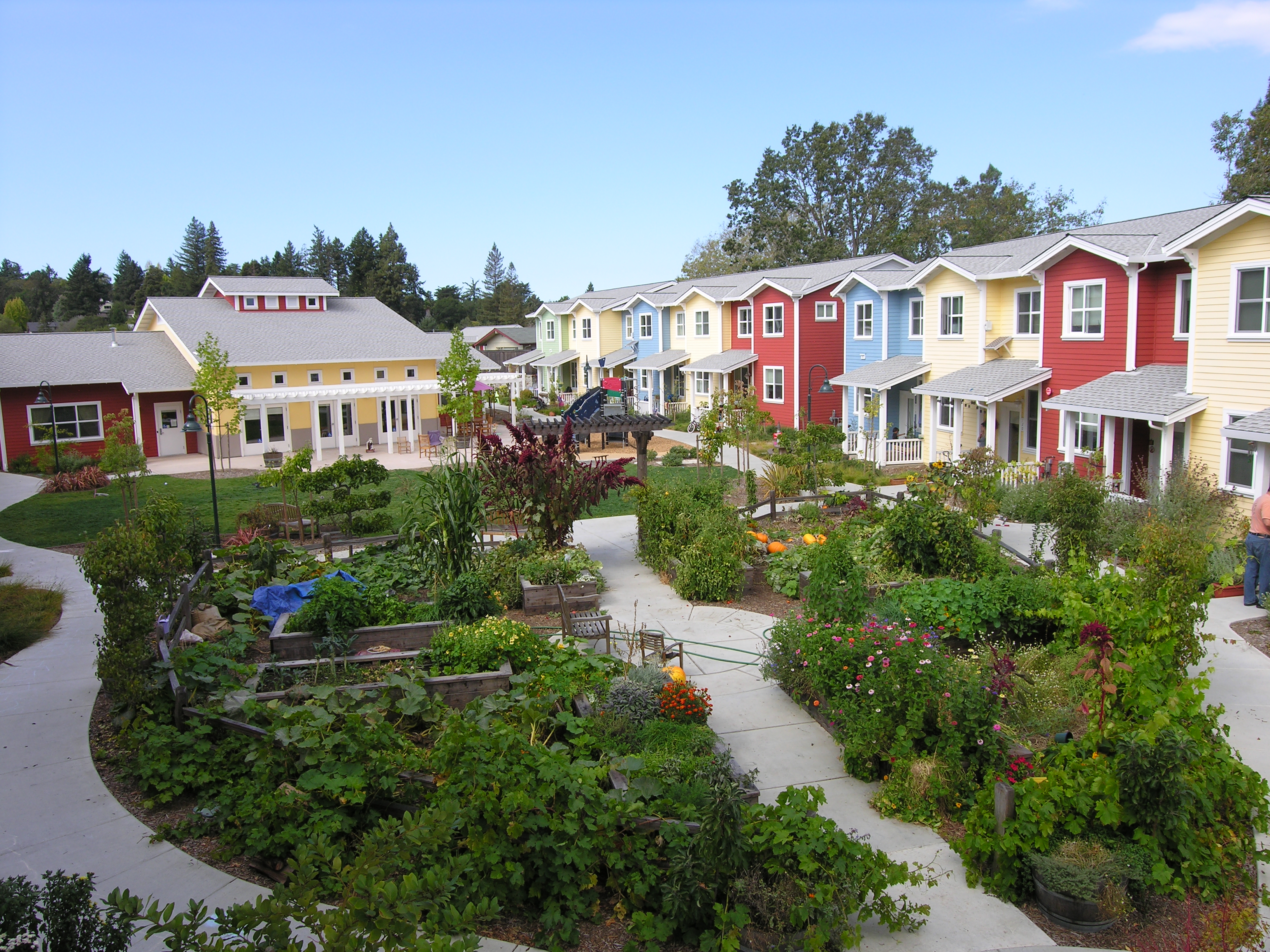 petaluma-ave-homes-cohousing.jpg