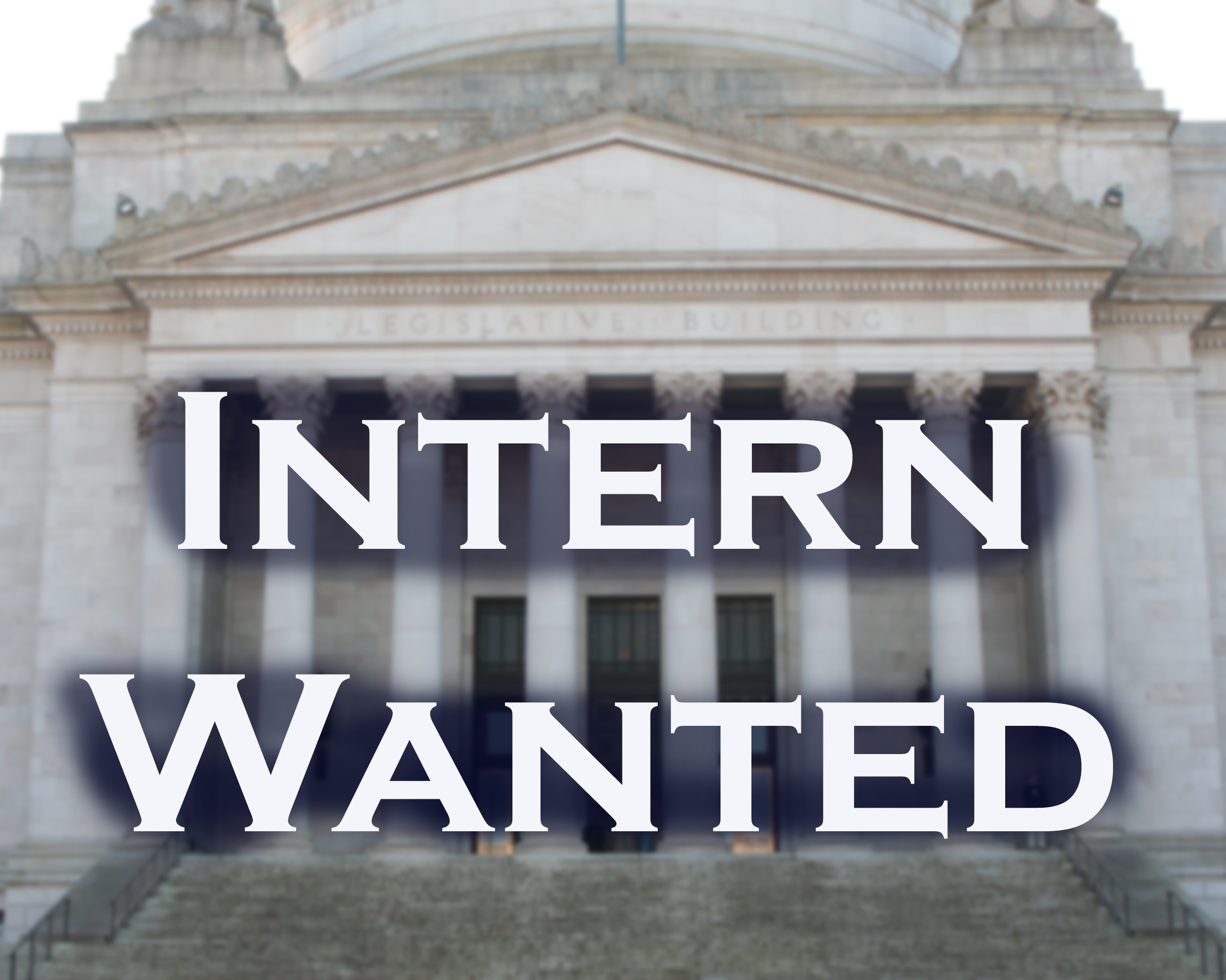 Intern Wanted