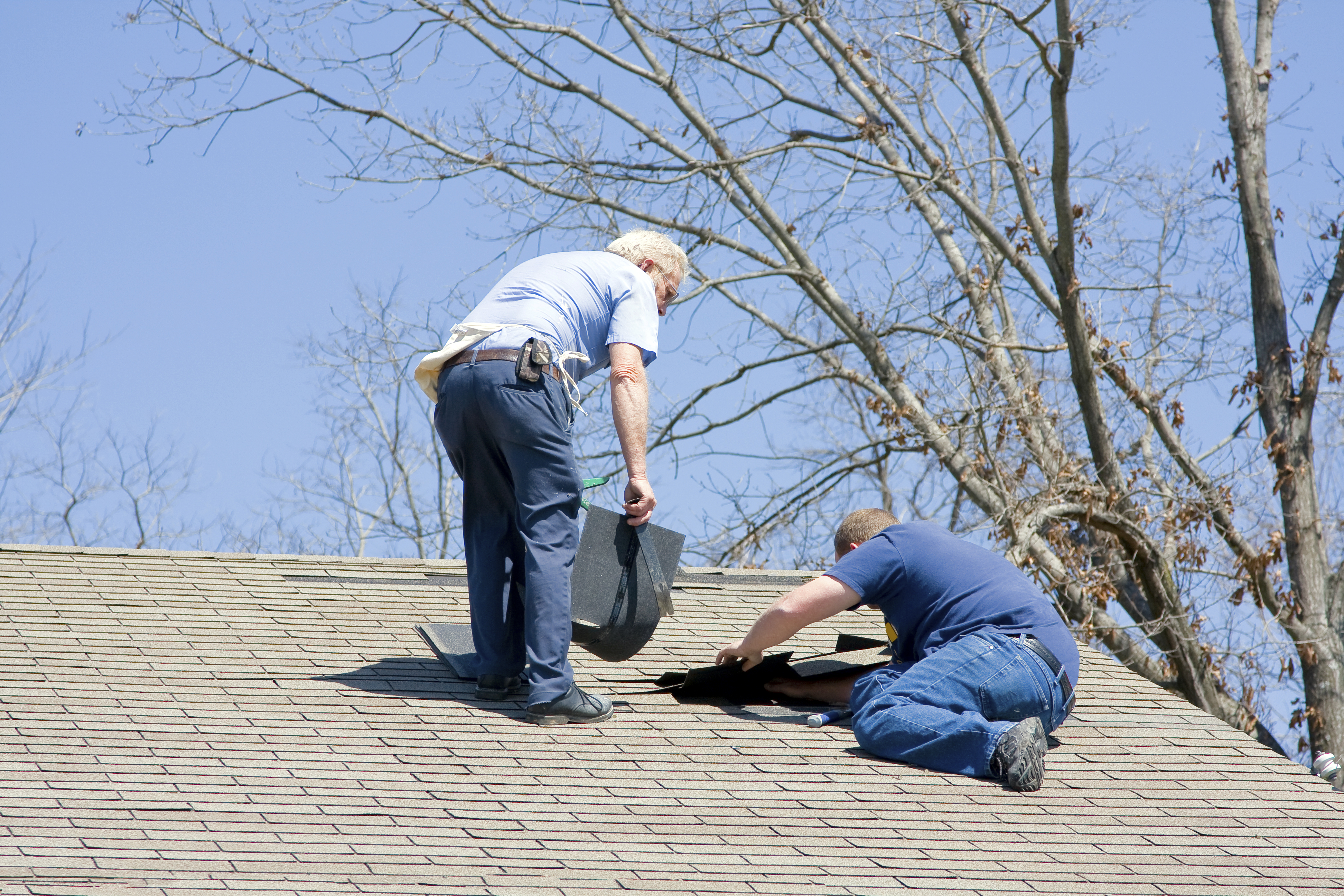 Roofing Contractor