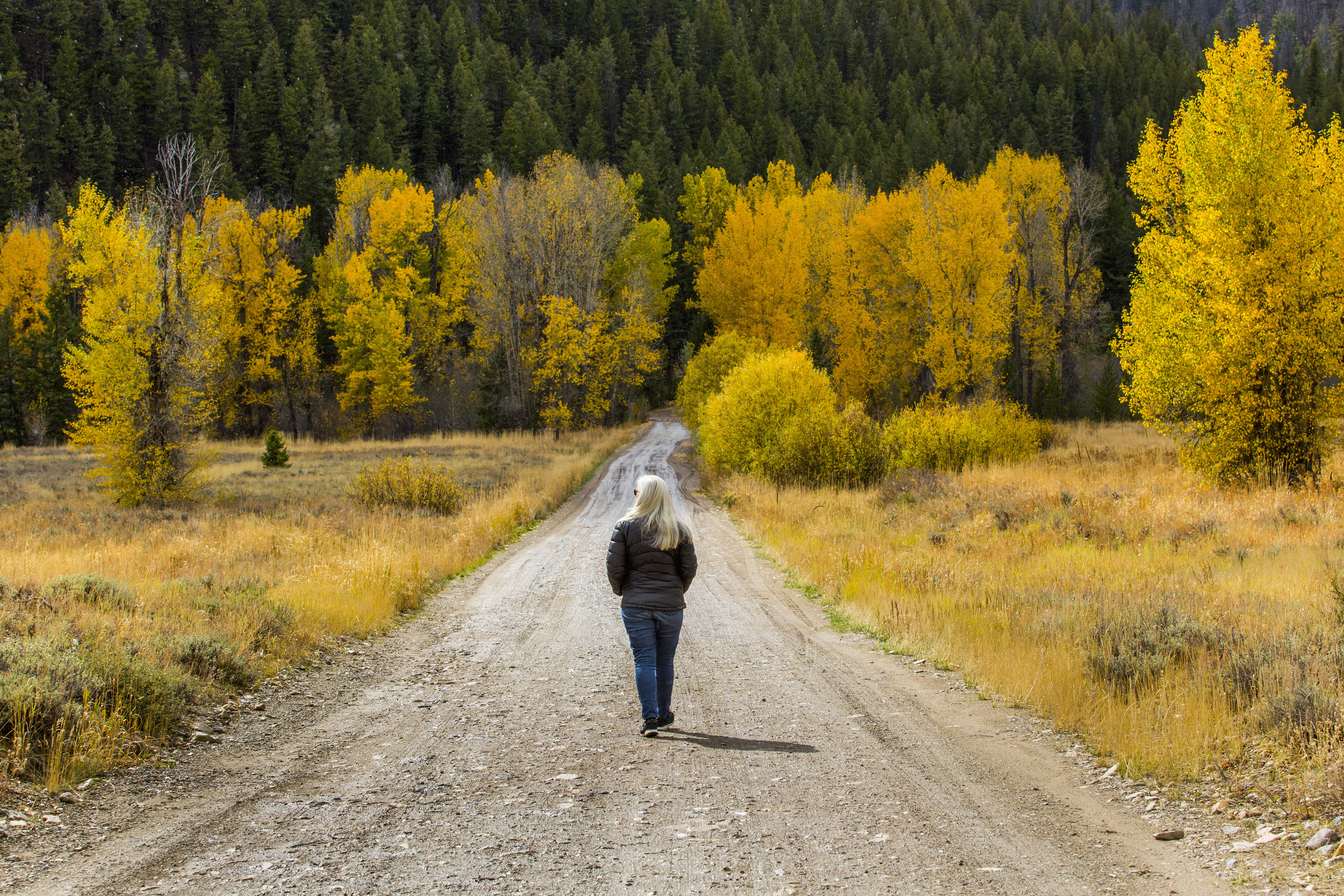 Caucasian woman walking on forest path in autumn