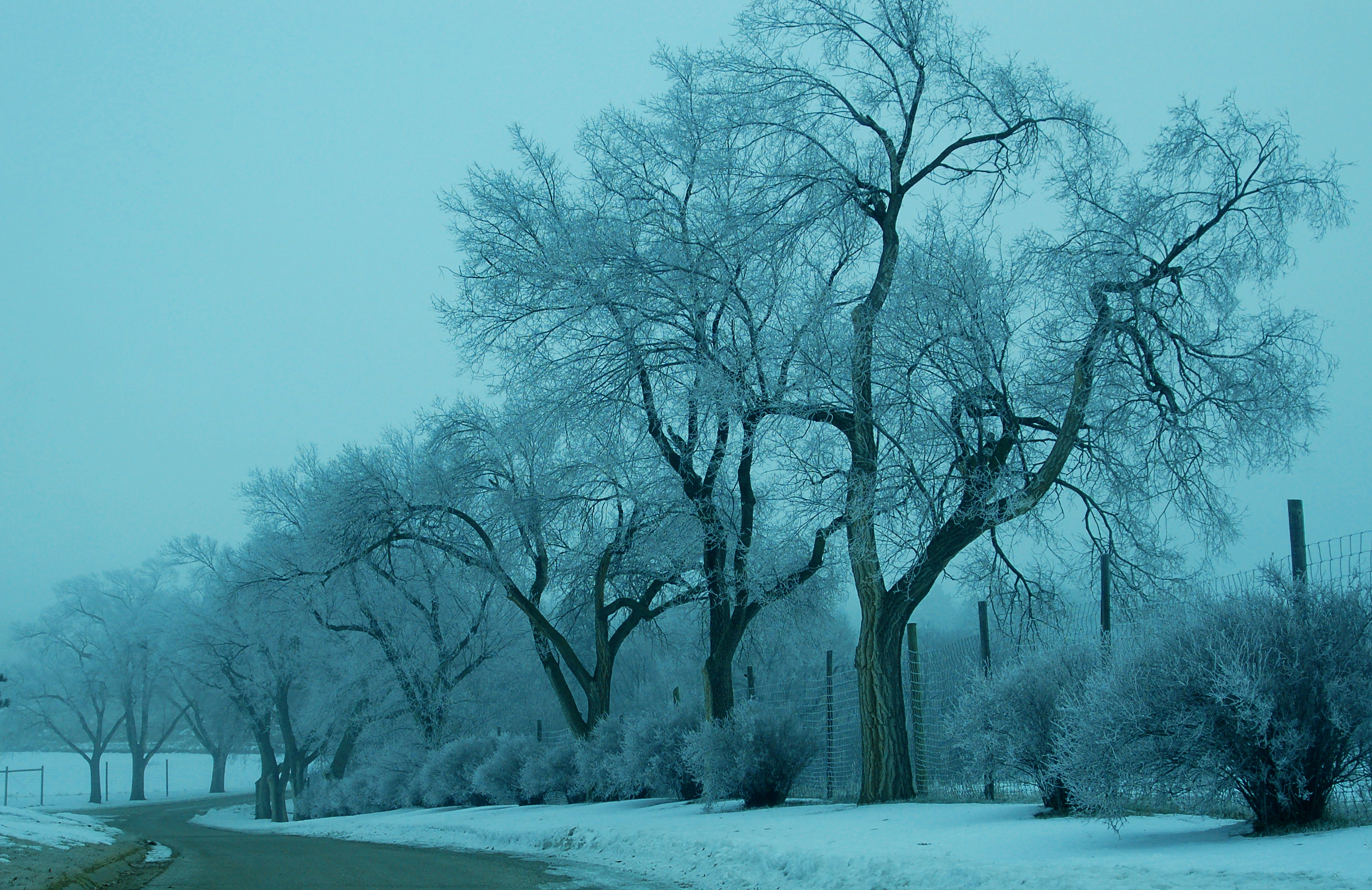 Winter Road