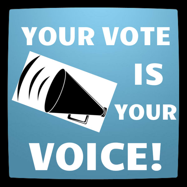 vote your voice