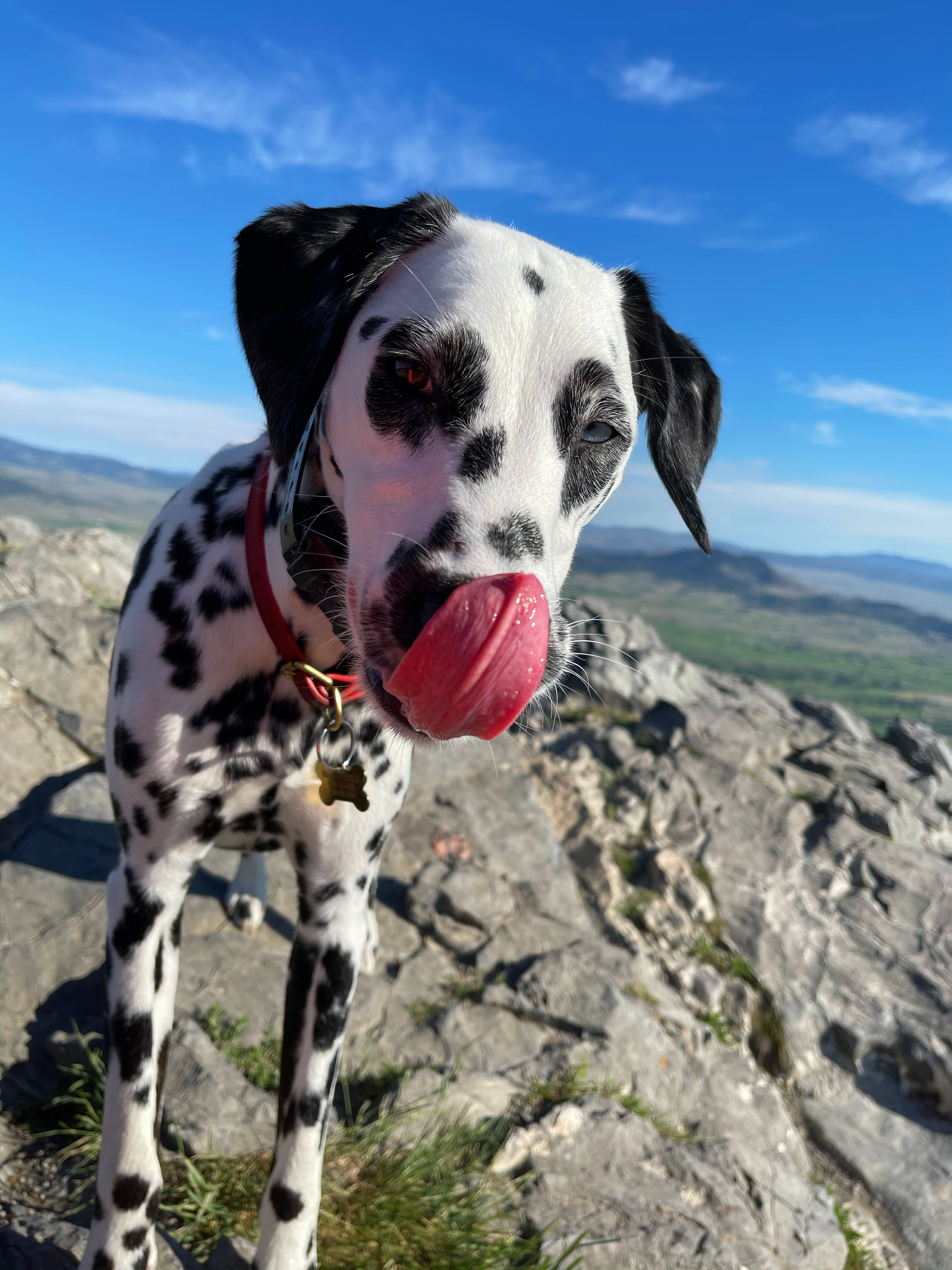 Entertainment Trail and Summit of Mt Ascension1.jpg