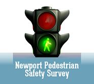 Pedestrian-Survey