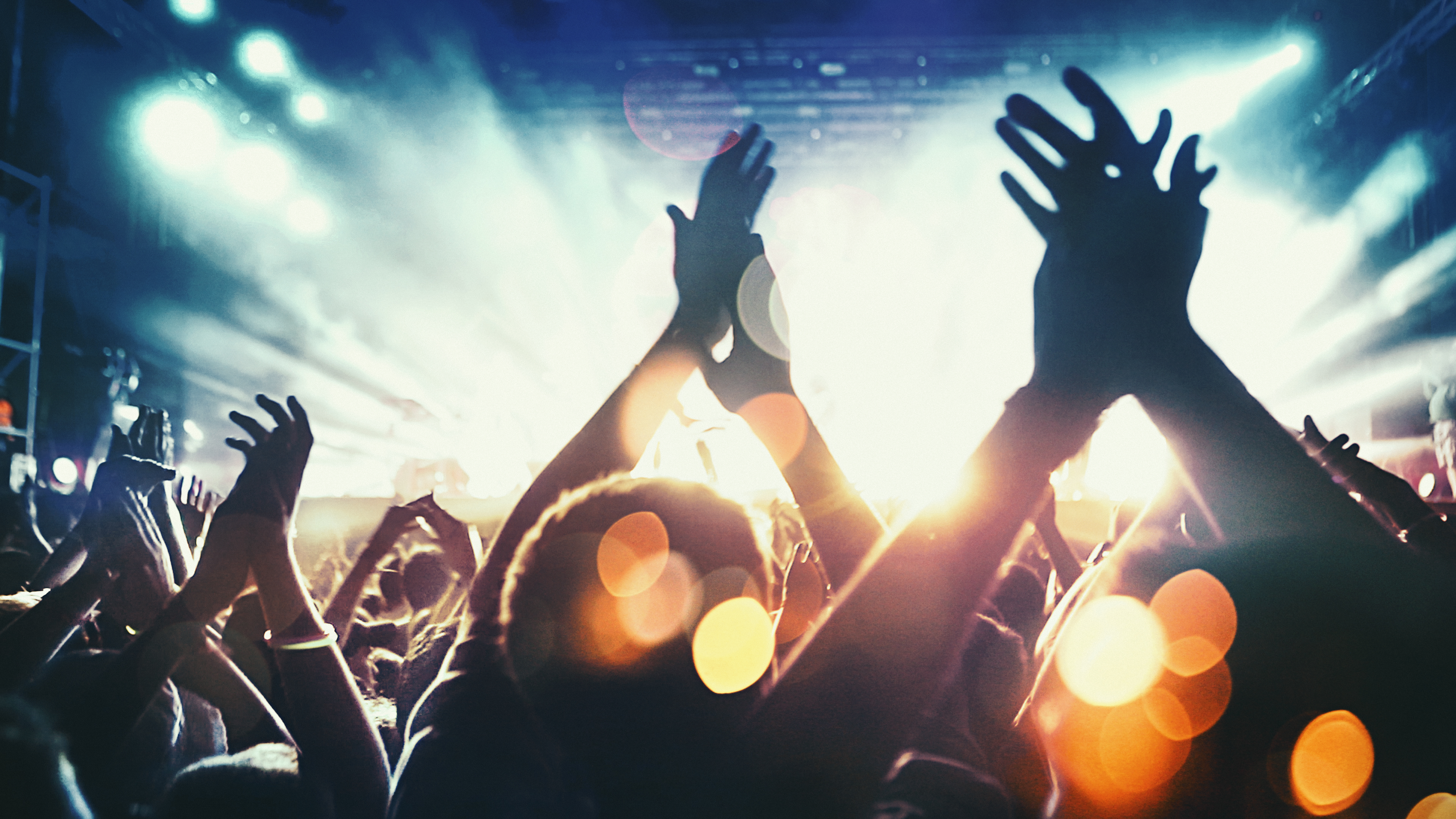 Concert crowd.