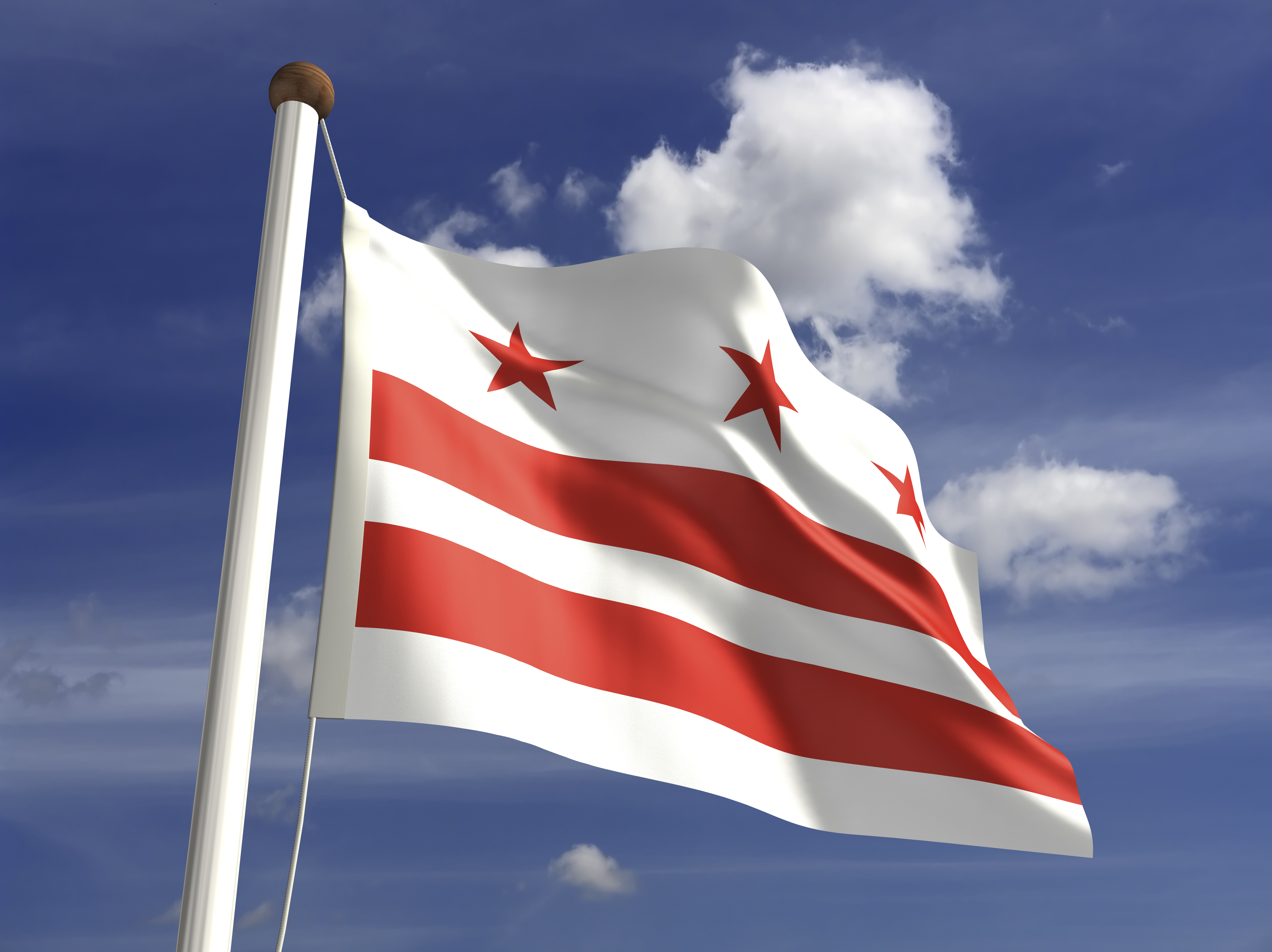 District of Columbia flag (with clipping path)
