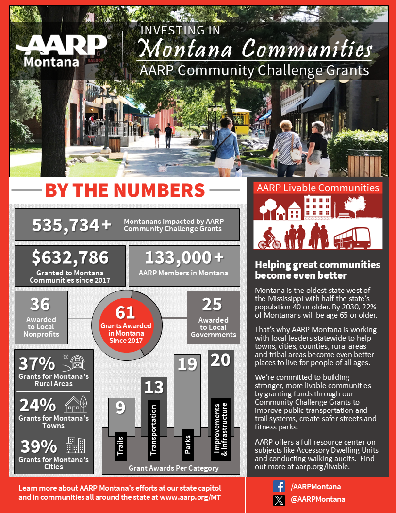 Community Challenge  Summary Factsheet 2025 PNG.png