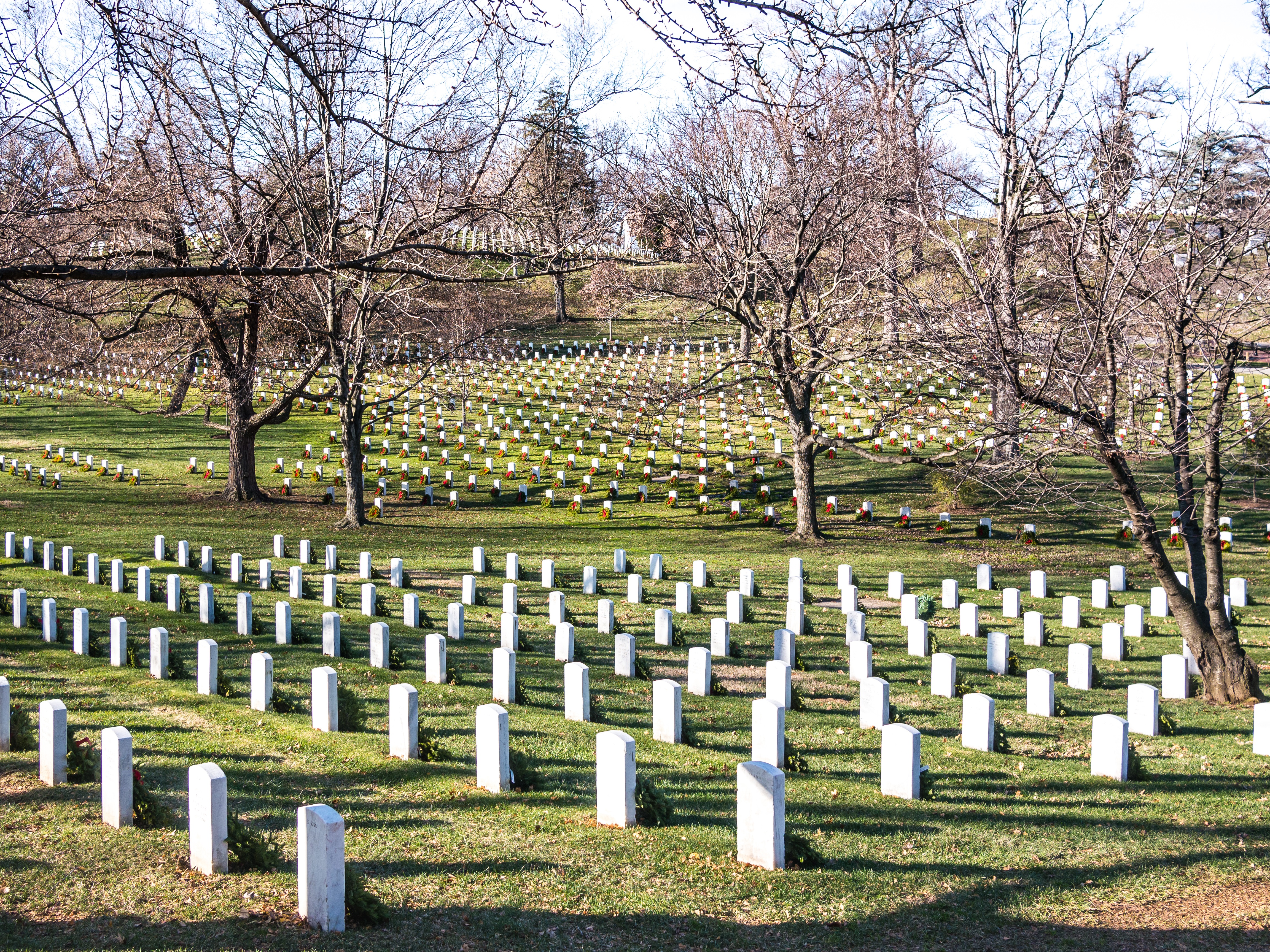 Gravestones of the Cemetery