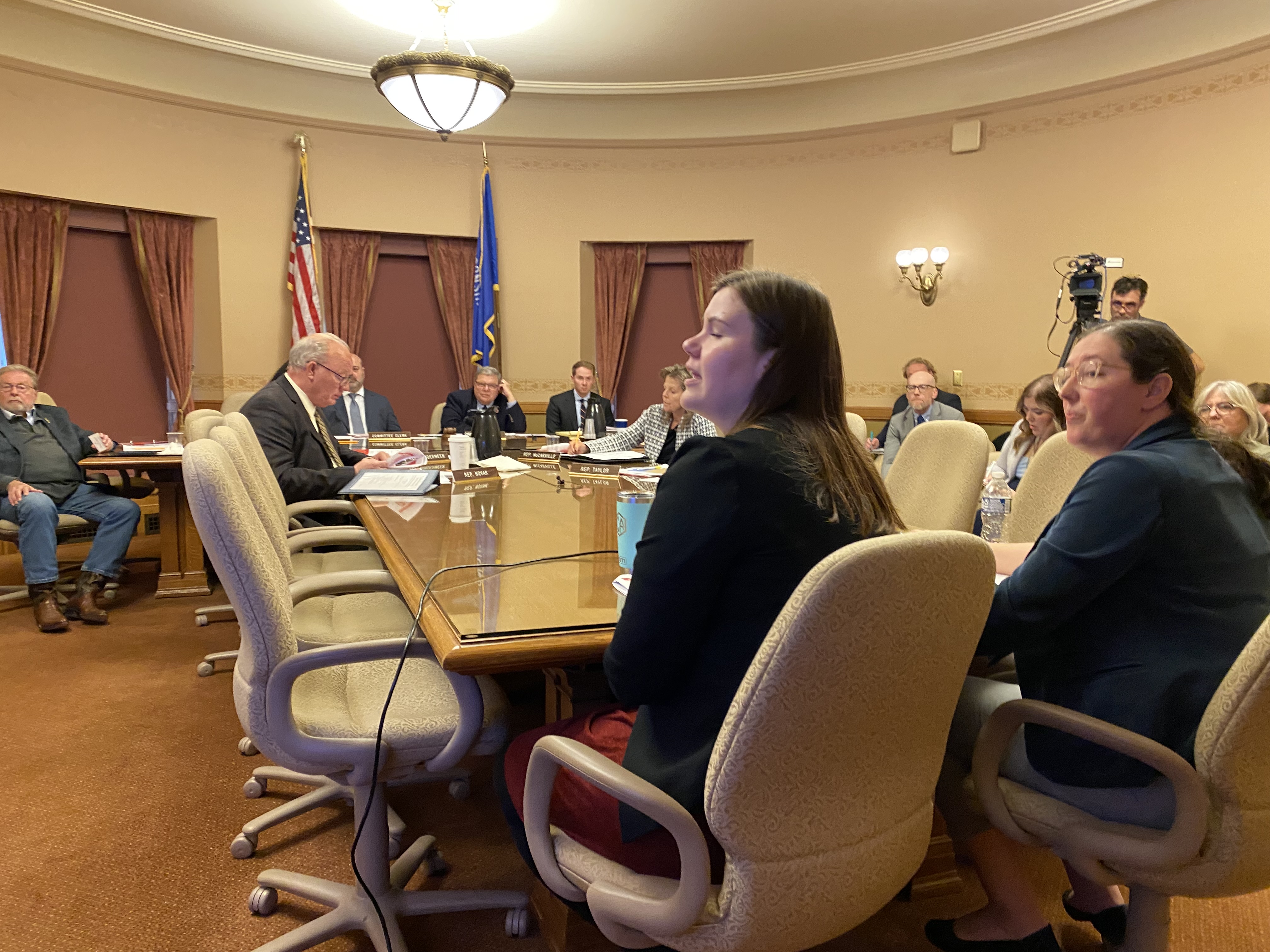 Testifying to task force.jpg