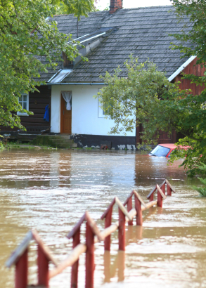 Flooded home