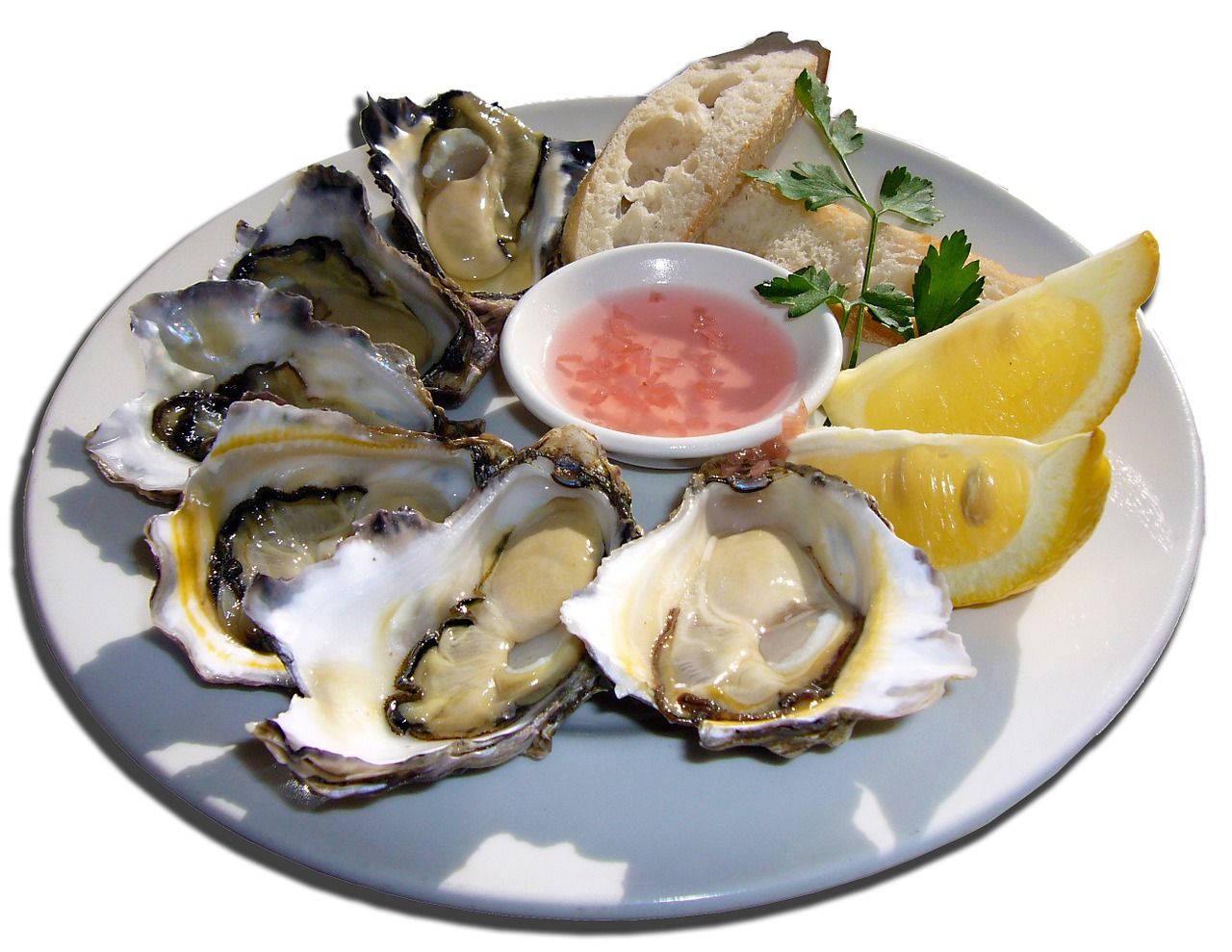 Oysters