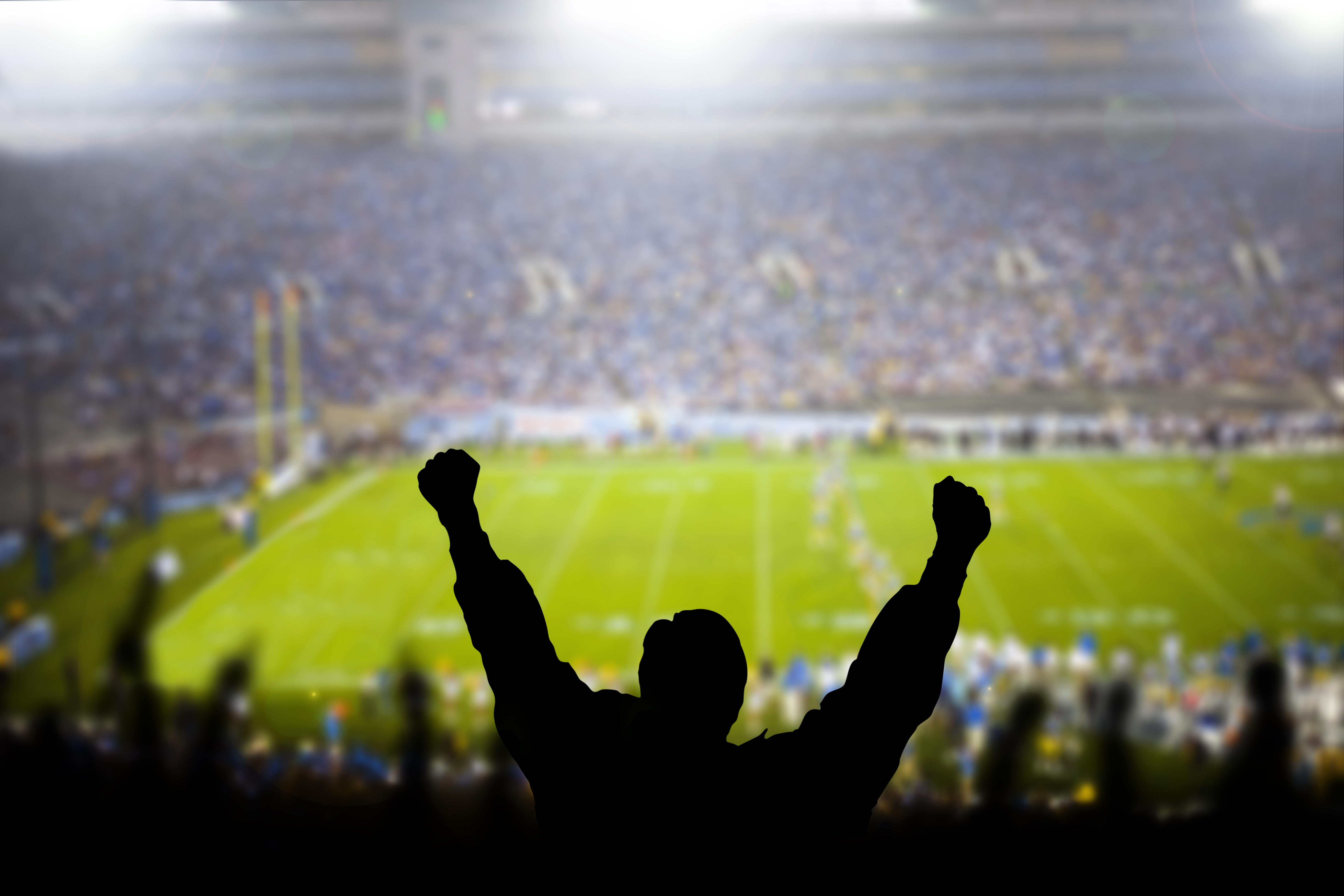 Excited Fans at Football Game